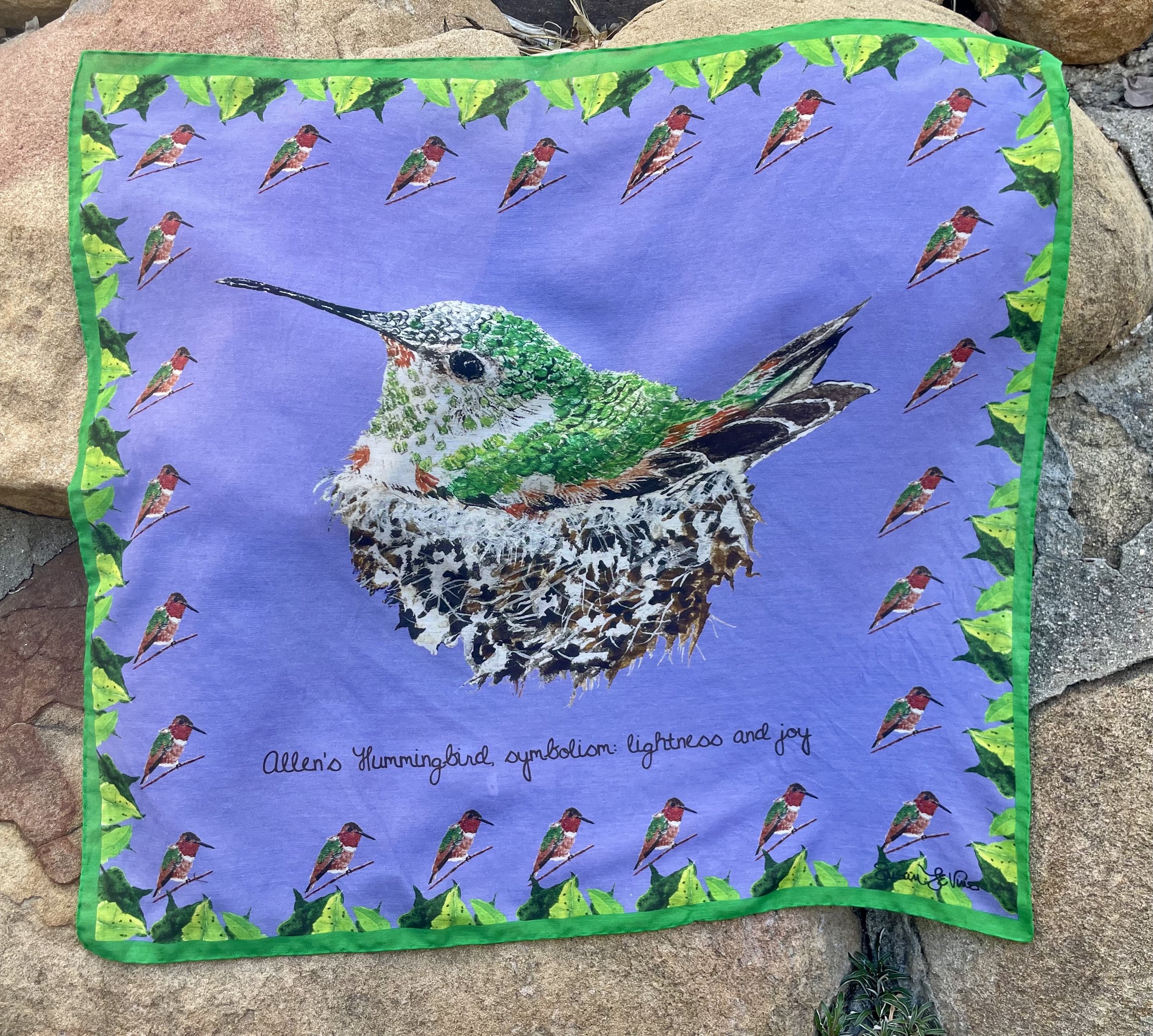bandana_Allenshummingbird..jpg