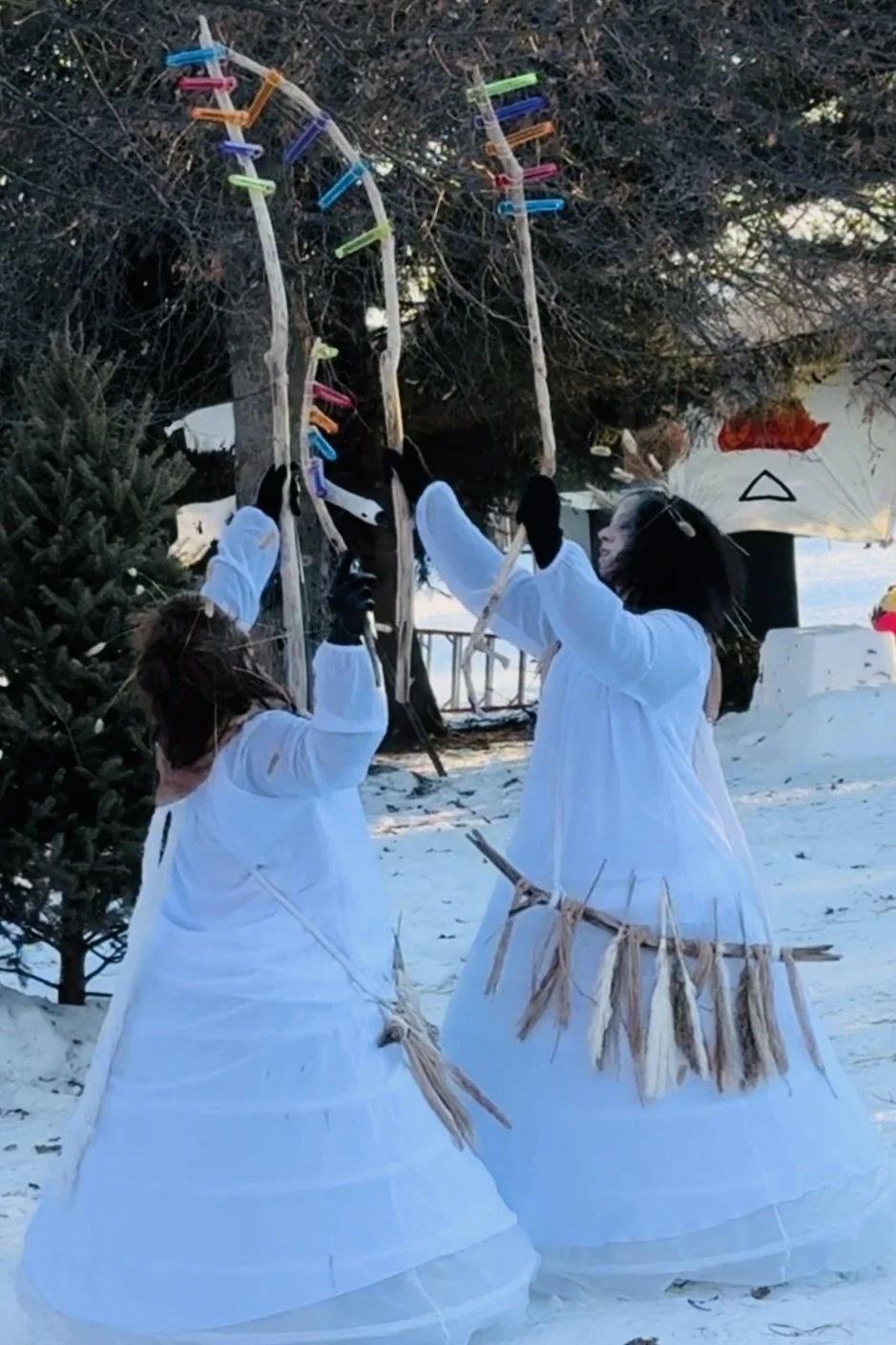 Chroma Still Color in trees.jpeg