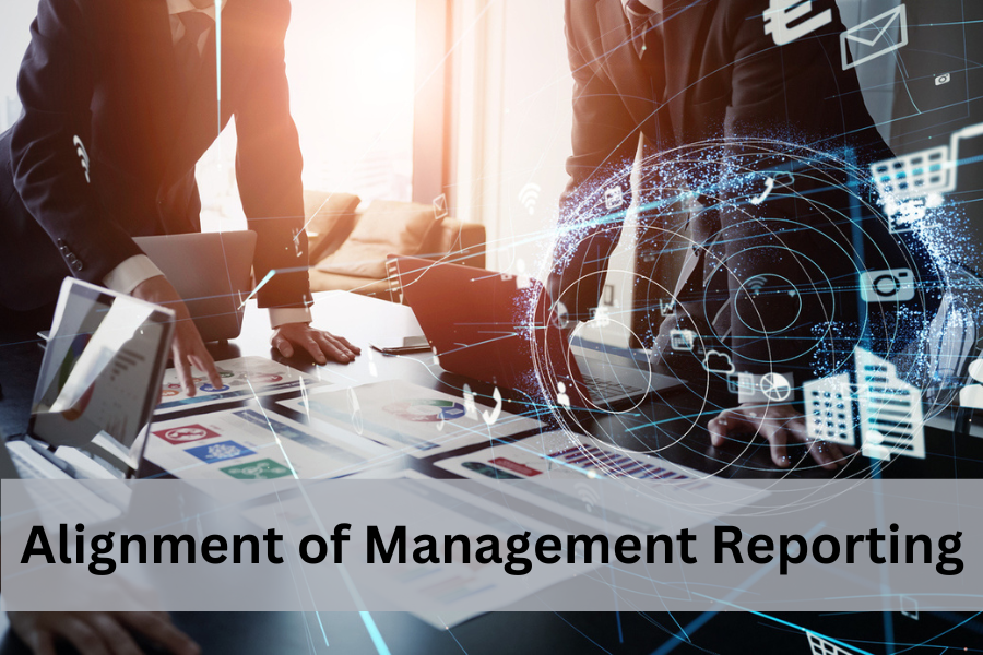 Michael’s M&A Playbook: 5 Tips for the Alignment of the Management Reporting System