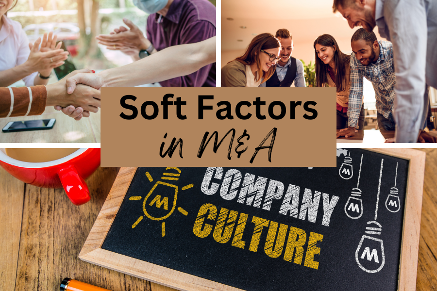 Soft Factors in M&A