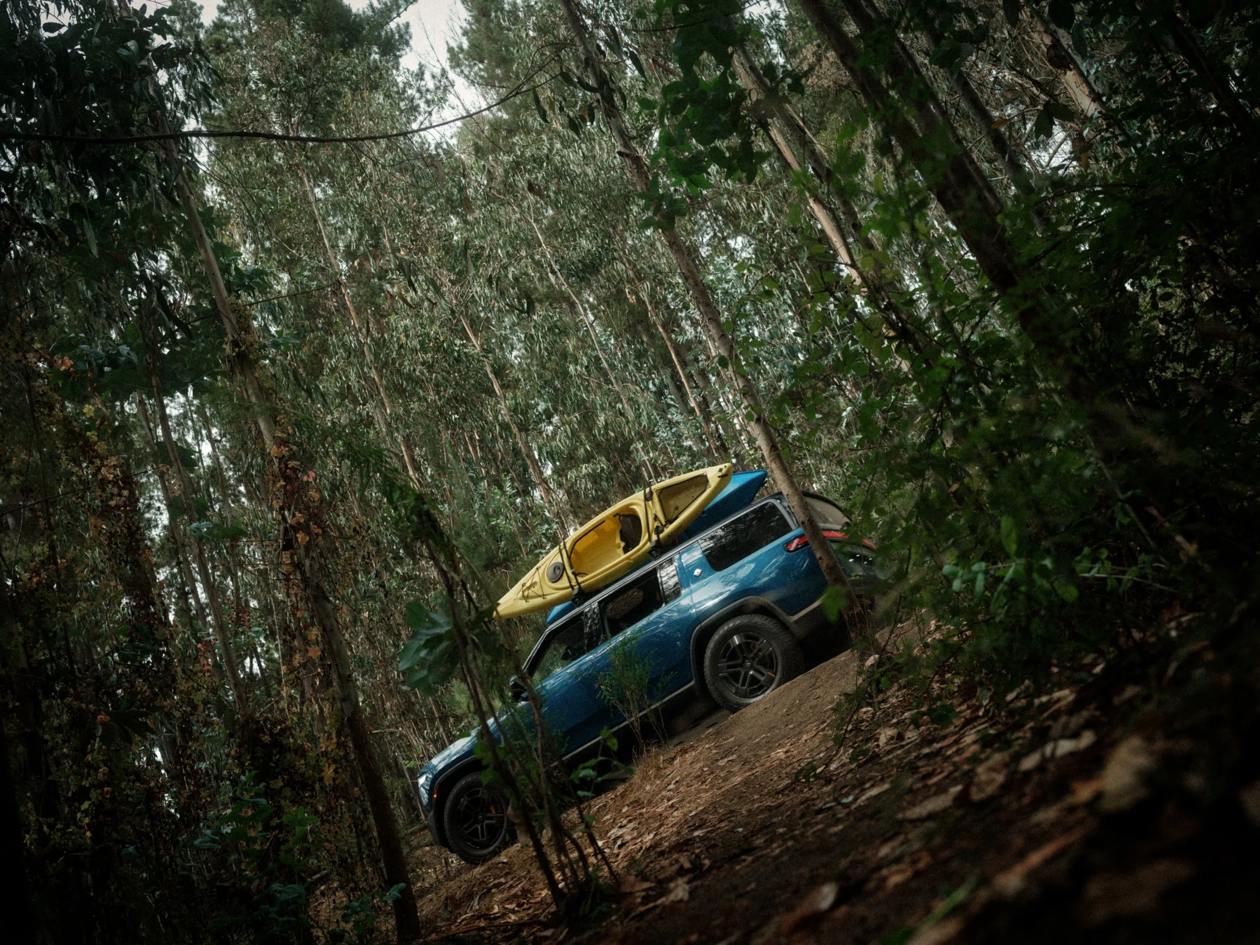RIVIAN BAYOU COUNTRY