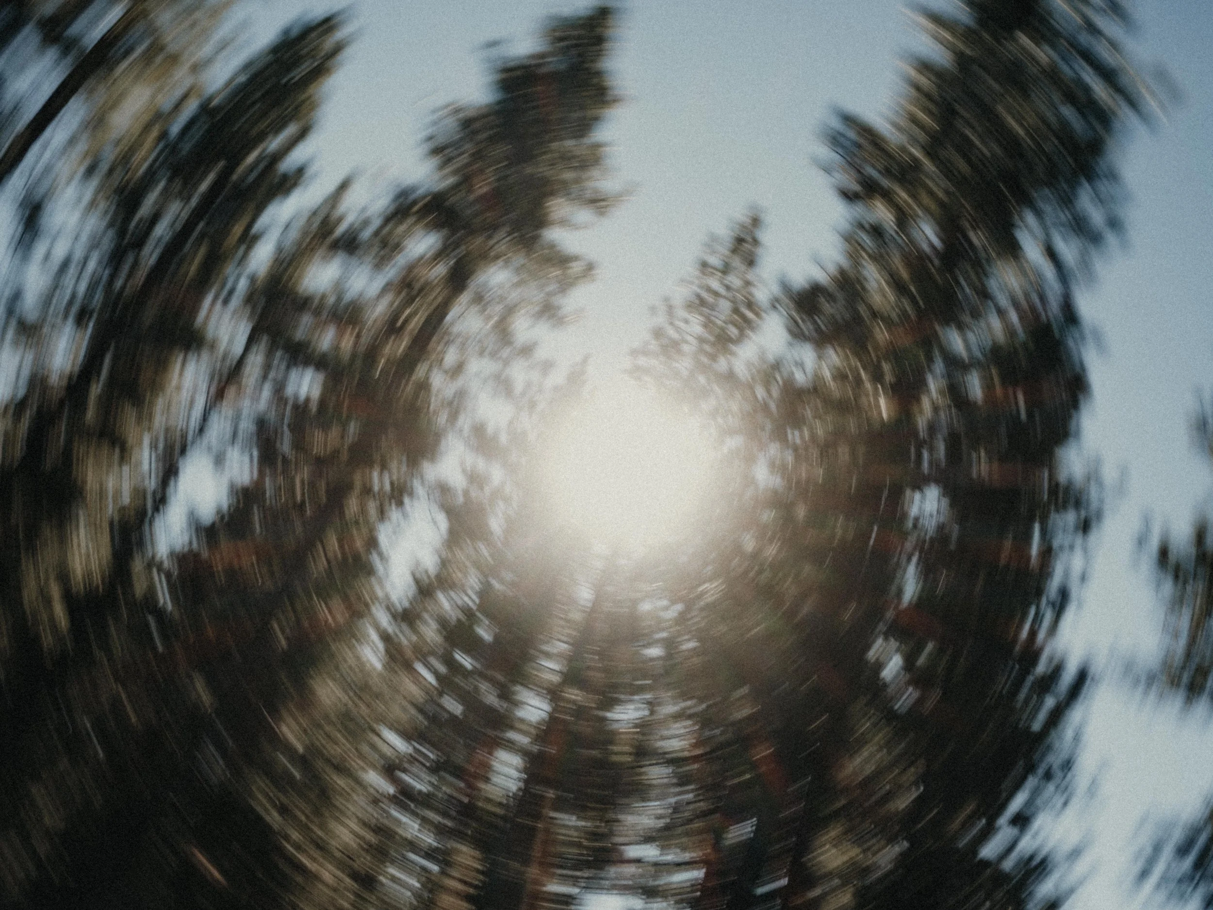 DSCF2638.JPG