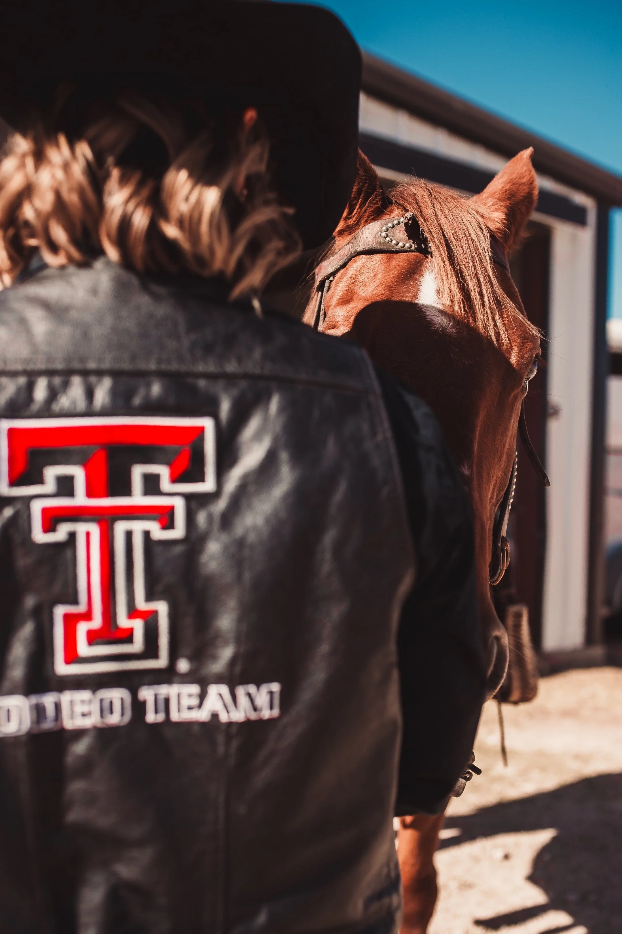 Person in a black leather jacket with a University of Texas logo on the back, standing next to a brown horse with a decorative bridle, outside on a sunny day.