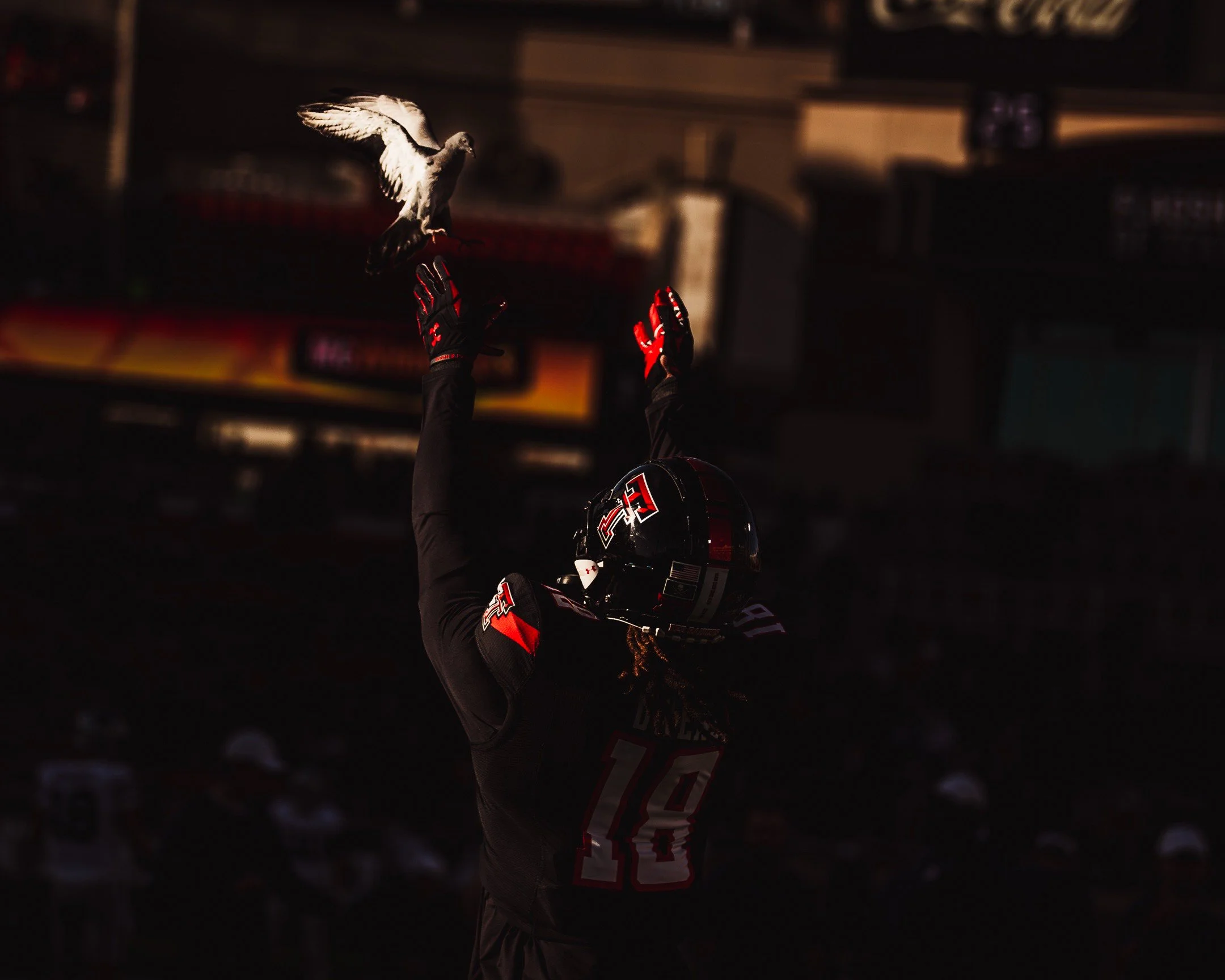 A football player wearing a black helmet and jersey with red and white accents is catching a dove in a stadium during sunset or evening.