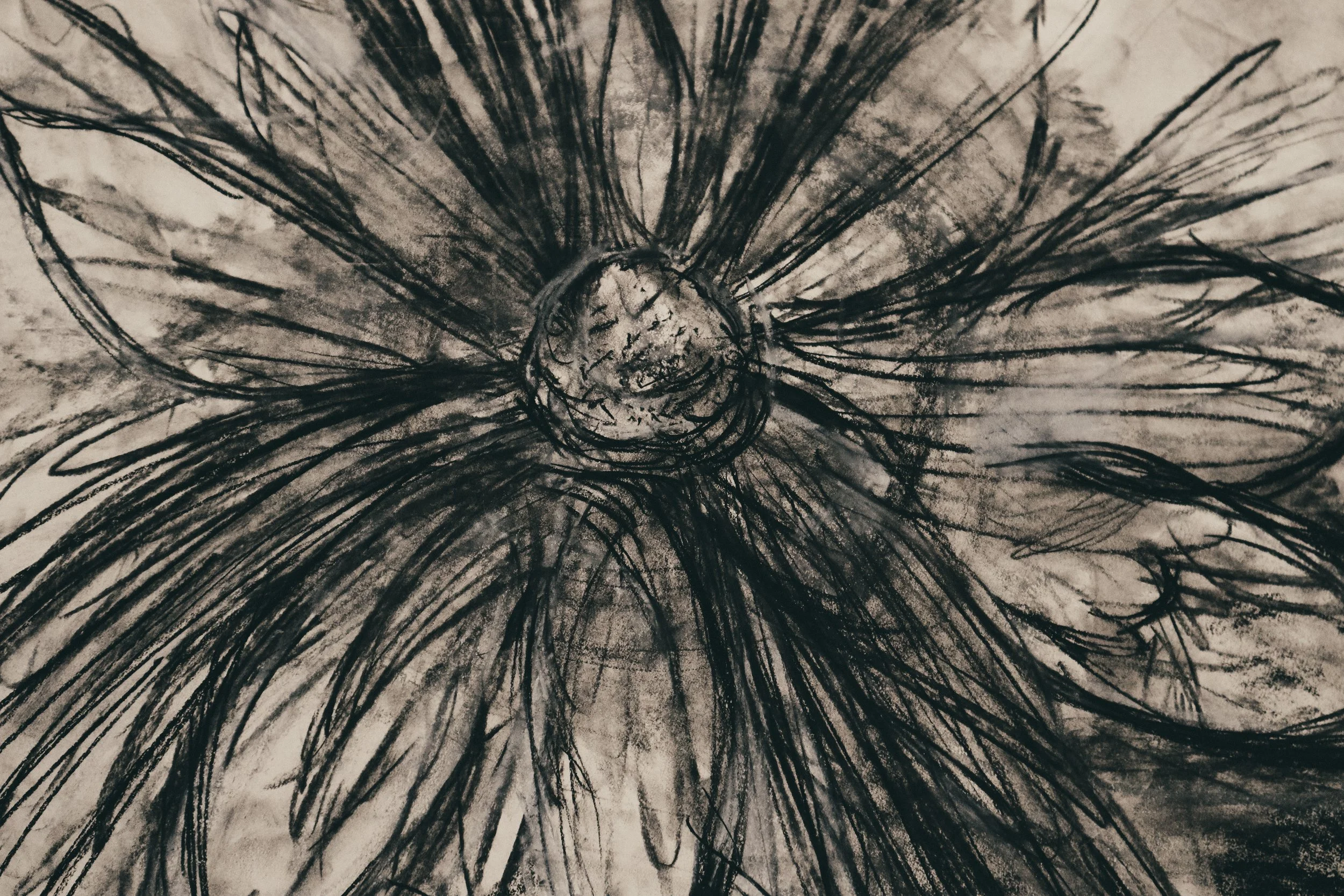 Wilted Radiance - Floral Art Print | Charcoal Artwork | Art & Lace
