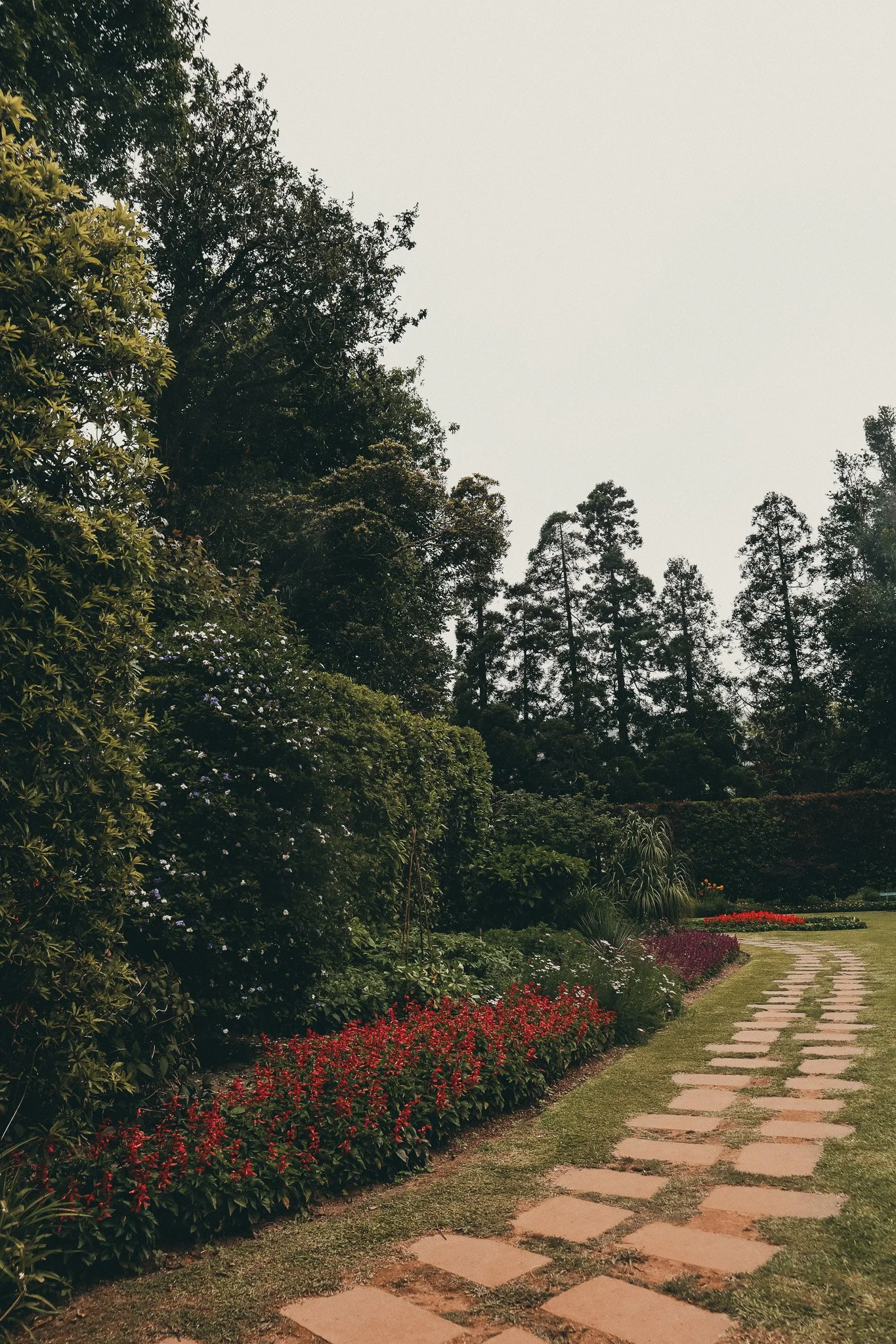 A garden pathway with pink stones surrounded by lush green shrubs and flowering plants, with tall trees in the background under an overcast sky.