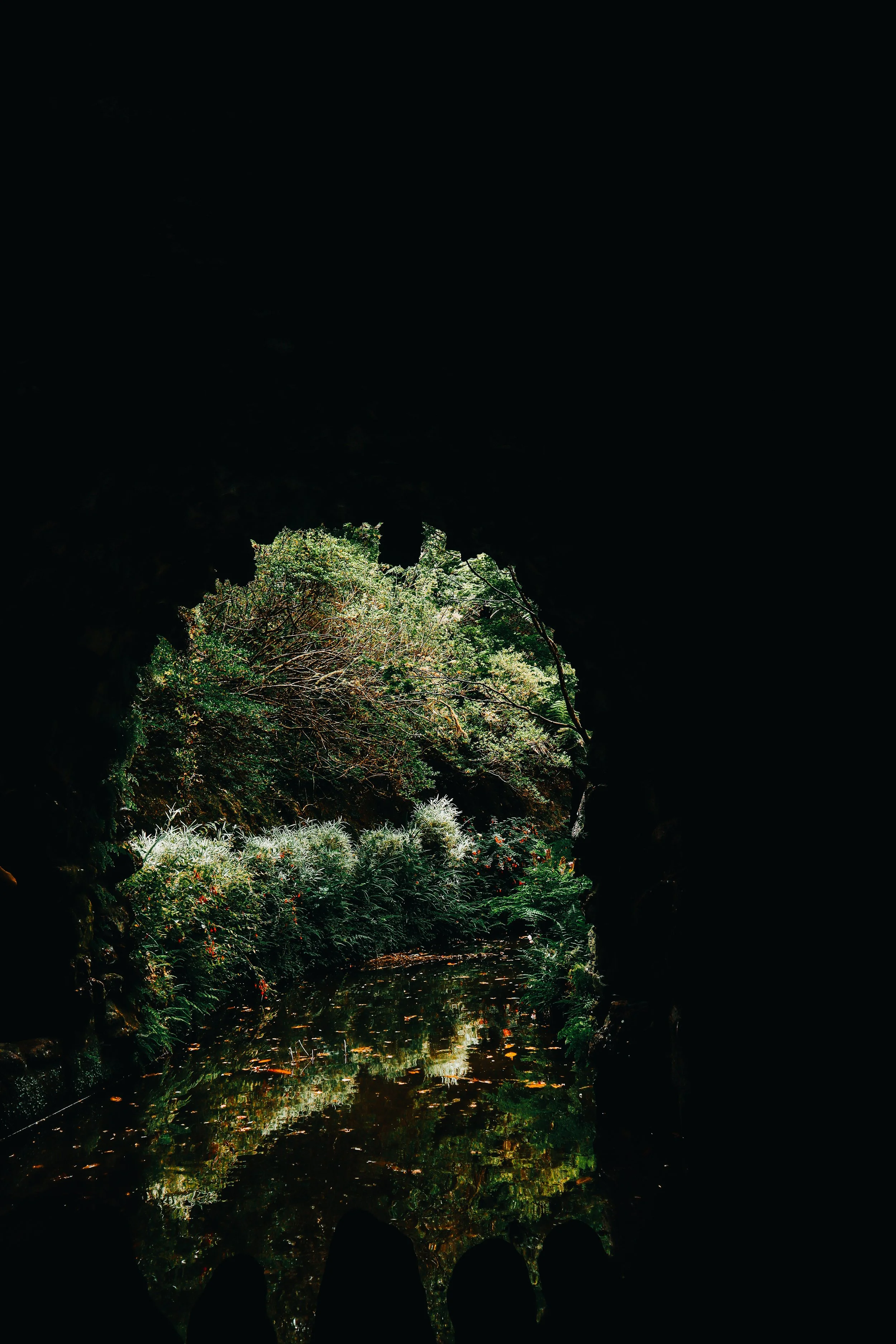 View from inside a dark cave looking outward at a lush green landscape with a pond and trees.