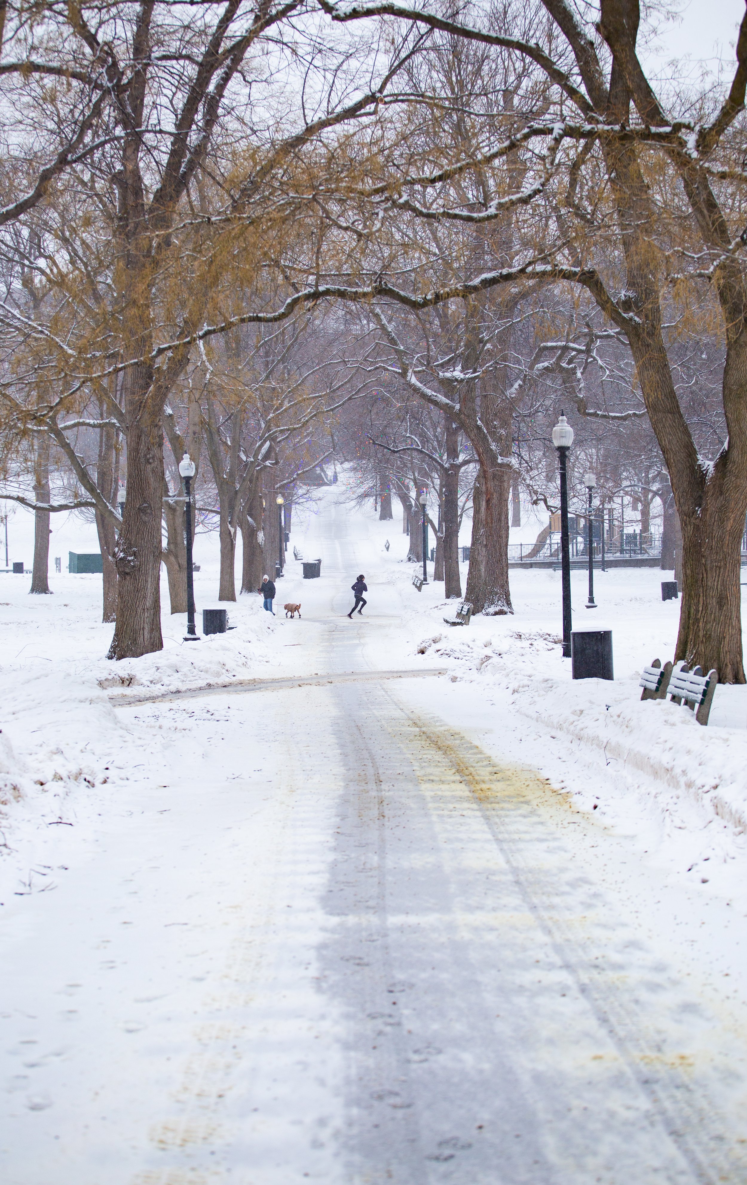 Hill Repeats | Boston Common 