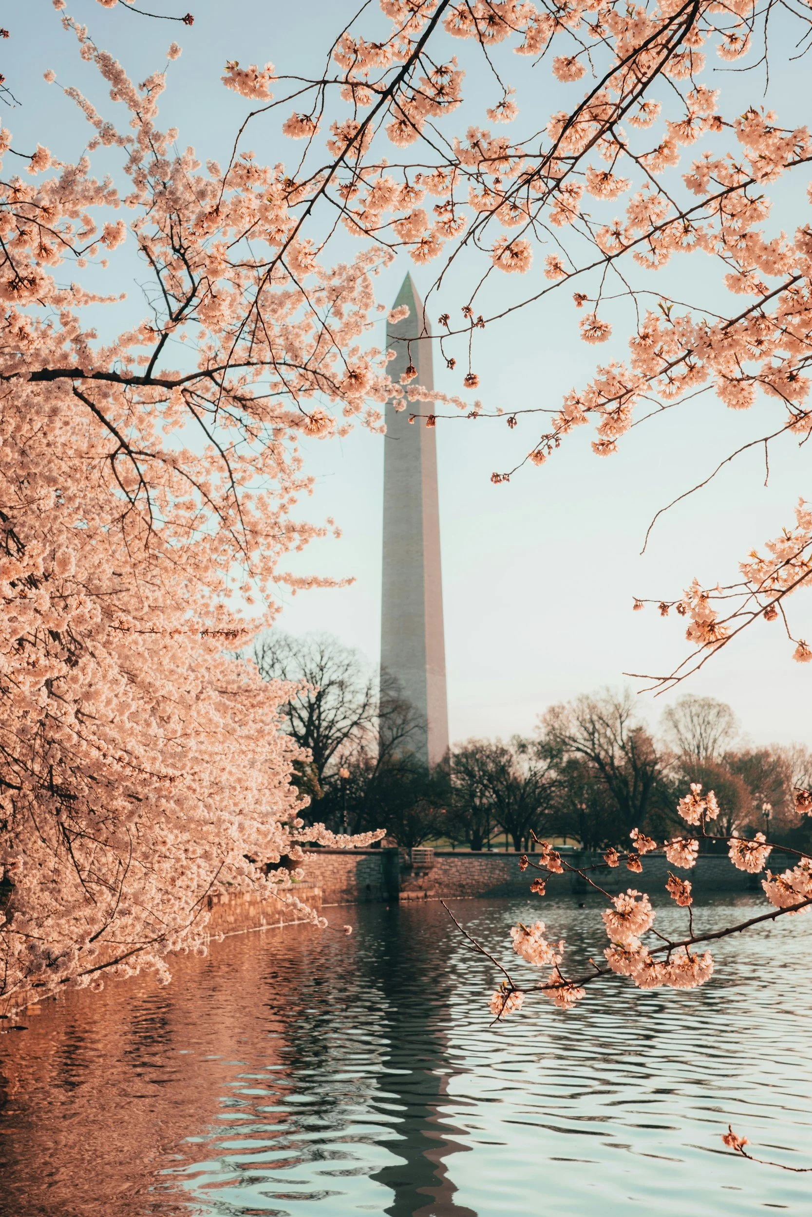 National Monument | Washington D.C