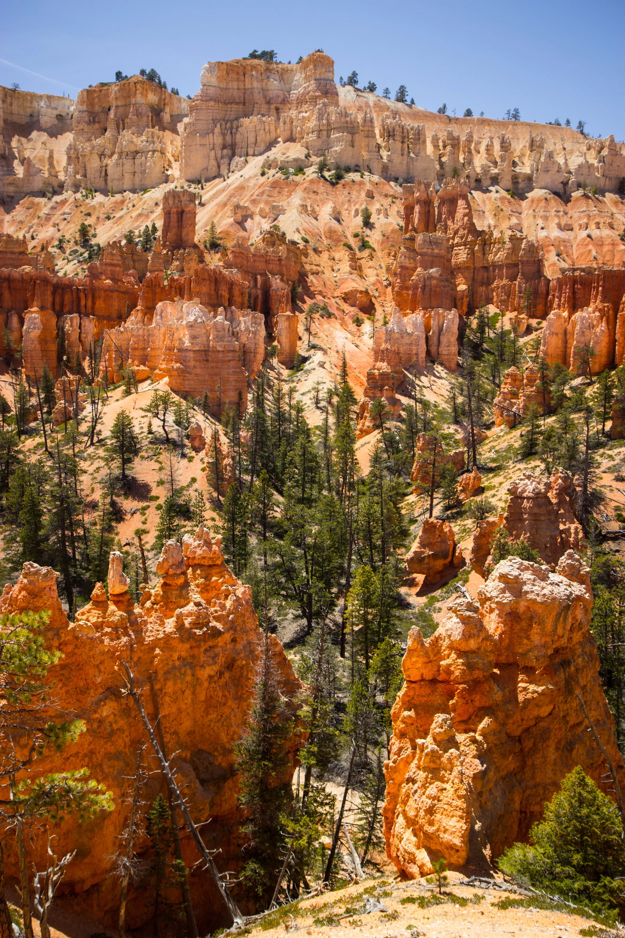Bryce National Park
