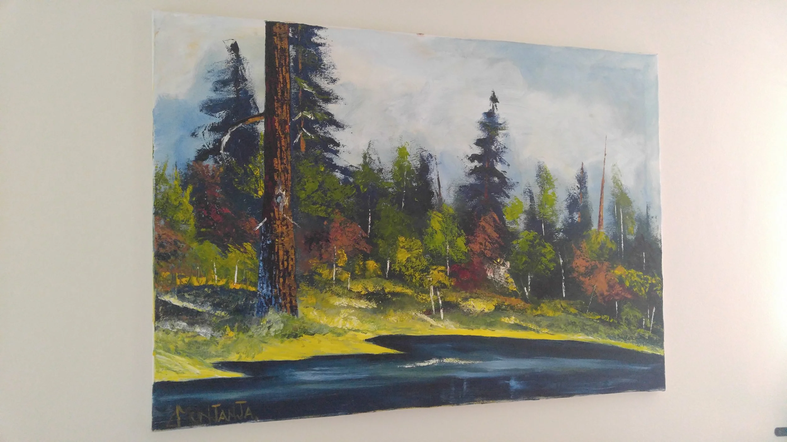 2017-07-23 08.24.36.JPG