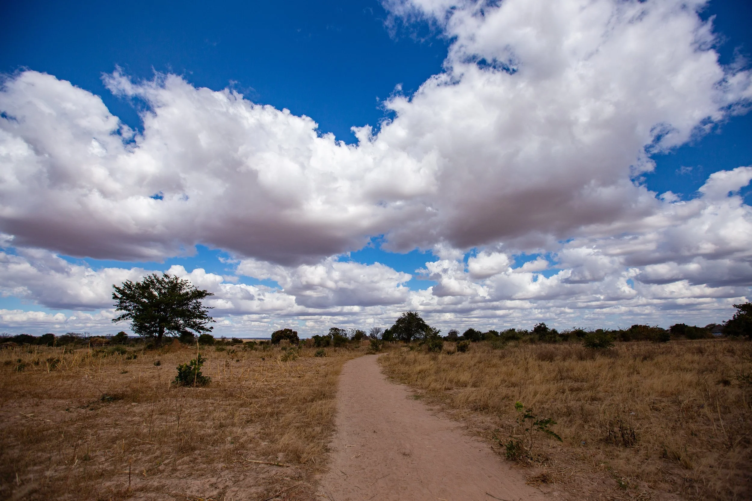 A dirt path running through a dry grassy field with scattered trees, under a partly cloudy sky with blue and gray clouds.