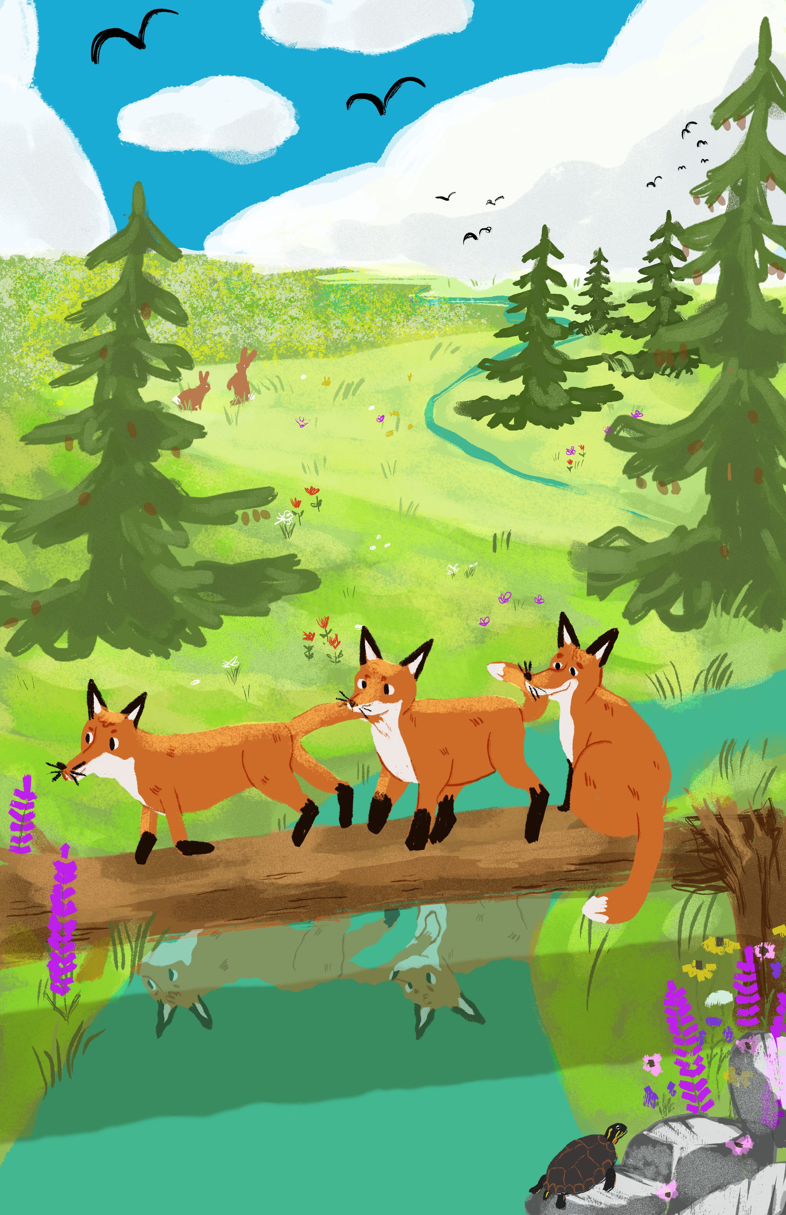 Fox Trot