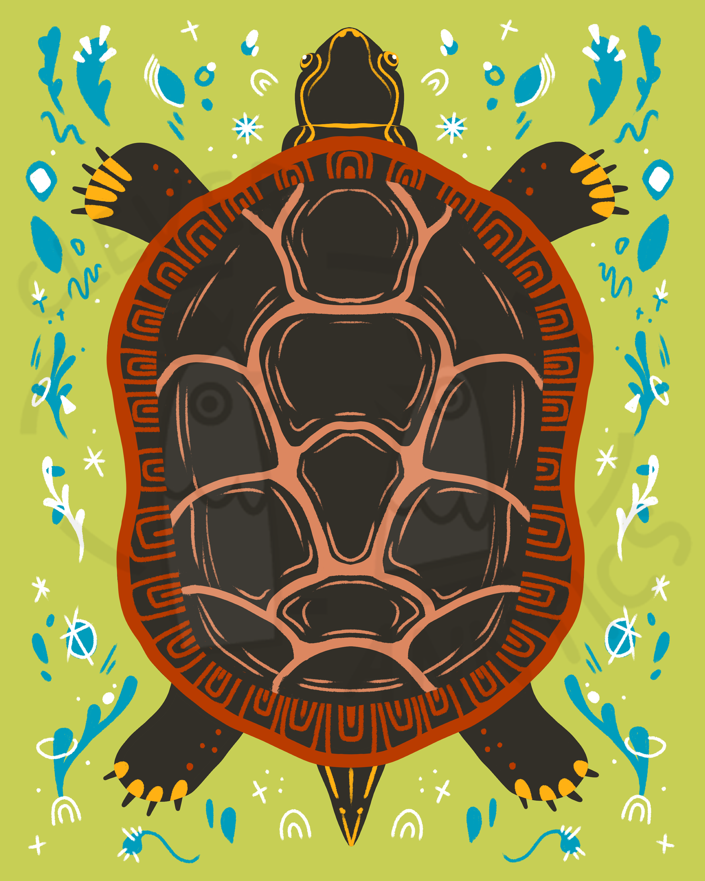 turtle 8x10_watermarked.png