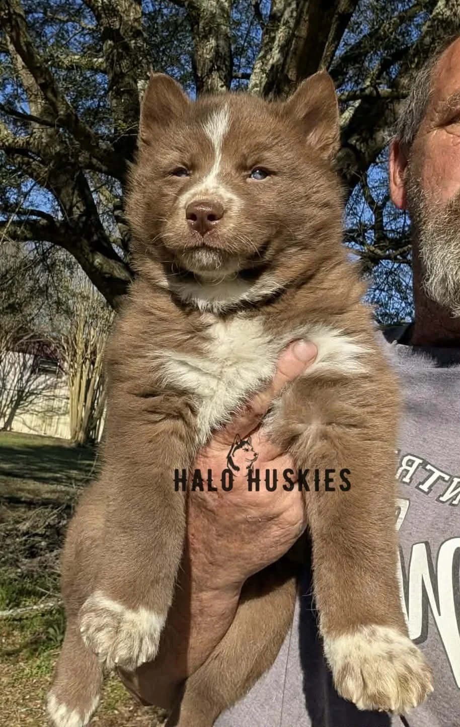 Onyx Whiskey F2 12.jpg