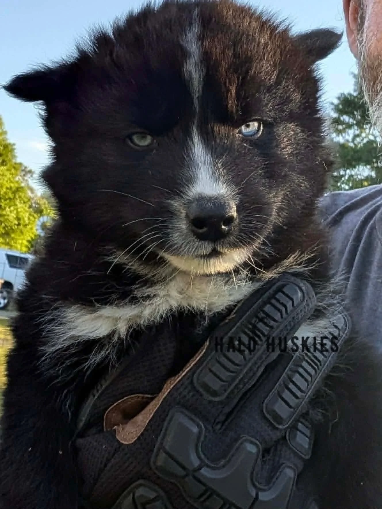 Kilo M4.1.3.jpg