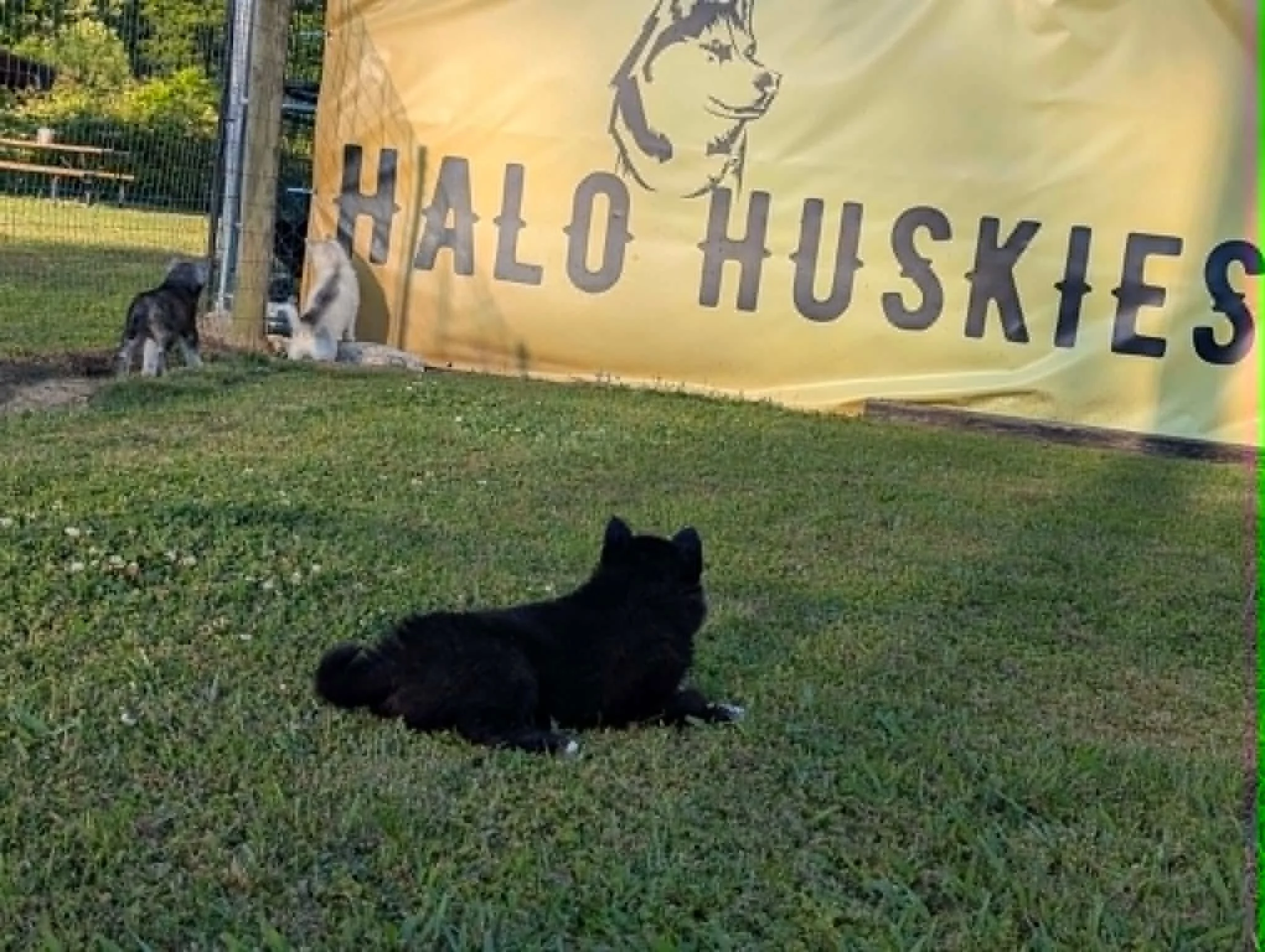 Kilo M4.1.6.jpg