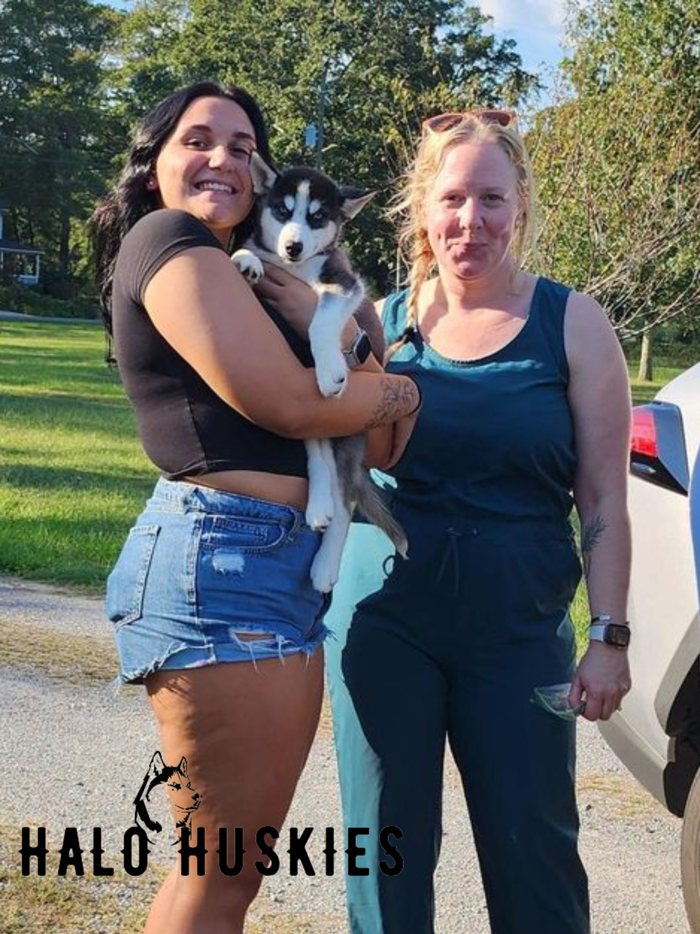 Going Home: Ruby/Clyde’s Black/White Male #6 — Halo Huskies