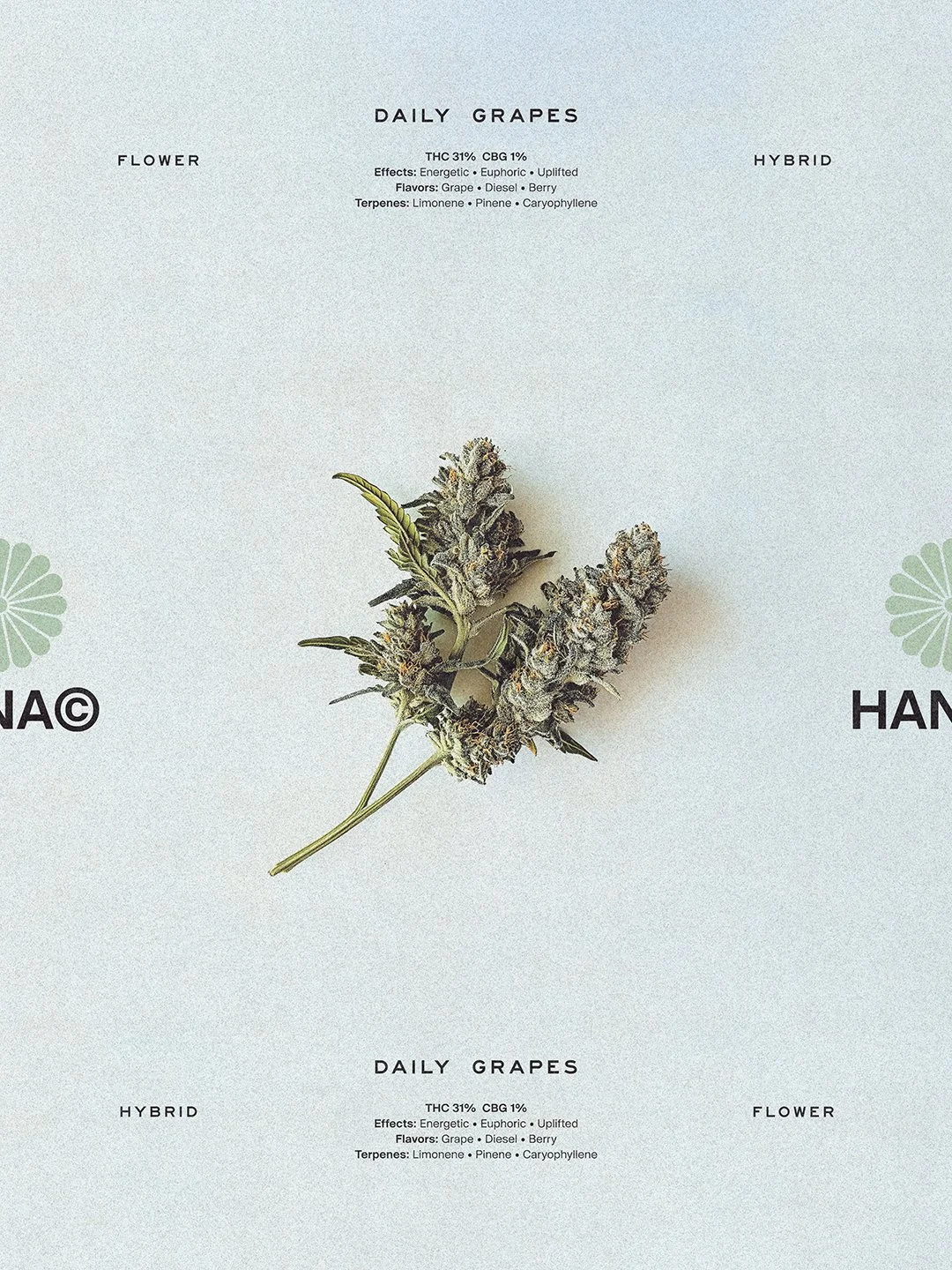 Hana Cannabis Daily Grapes Flower key visual