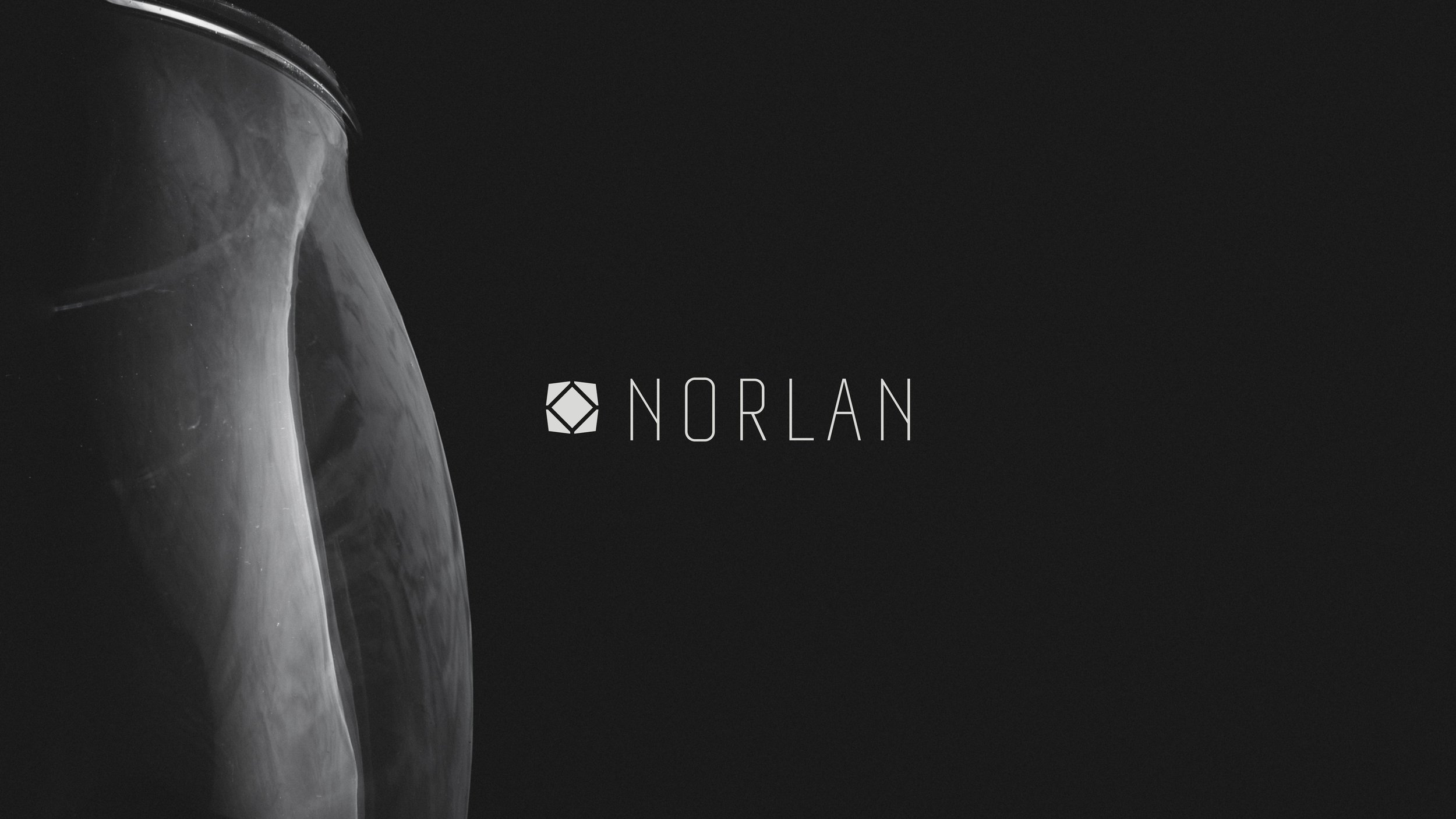 Norlan full logo