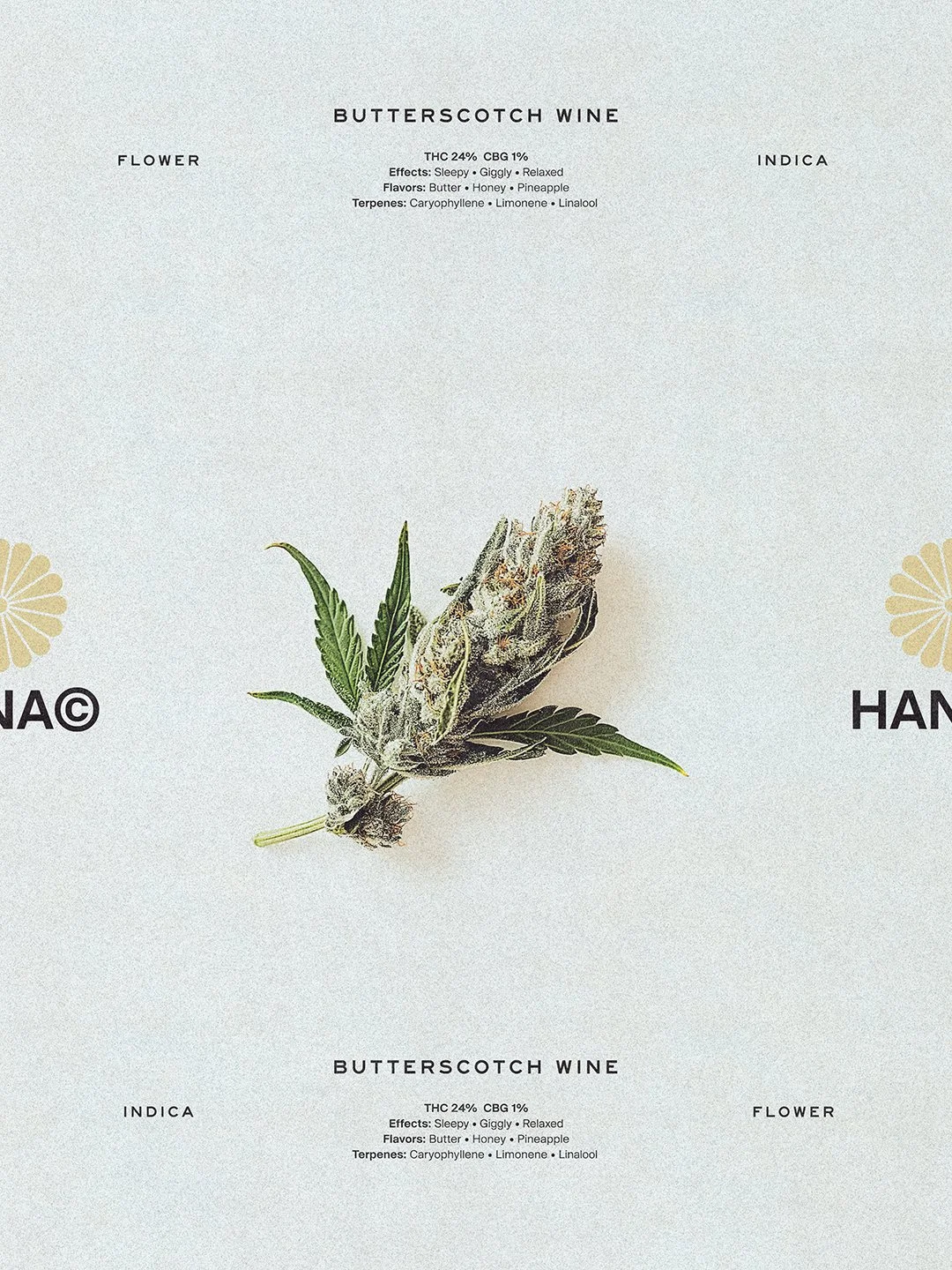 Hana Cannabis Butterscotch Wine Flower key visual