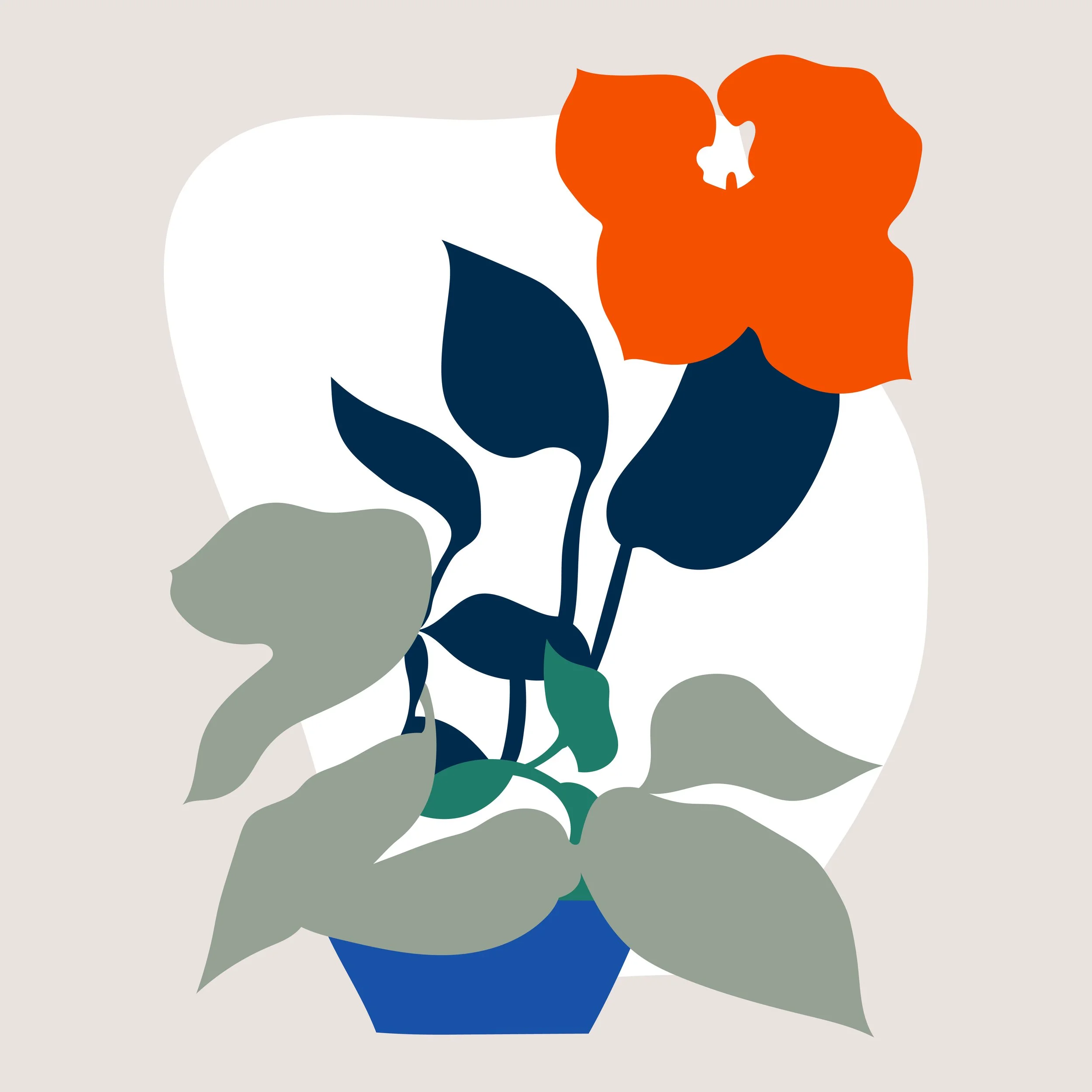 Bouquets illustration, floral study 12