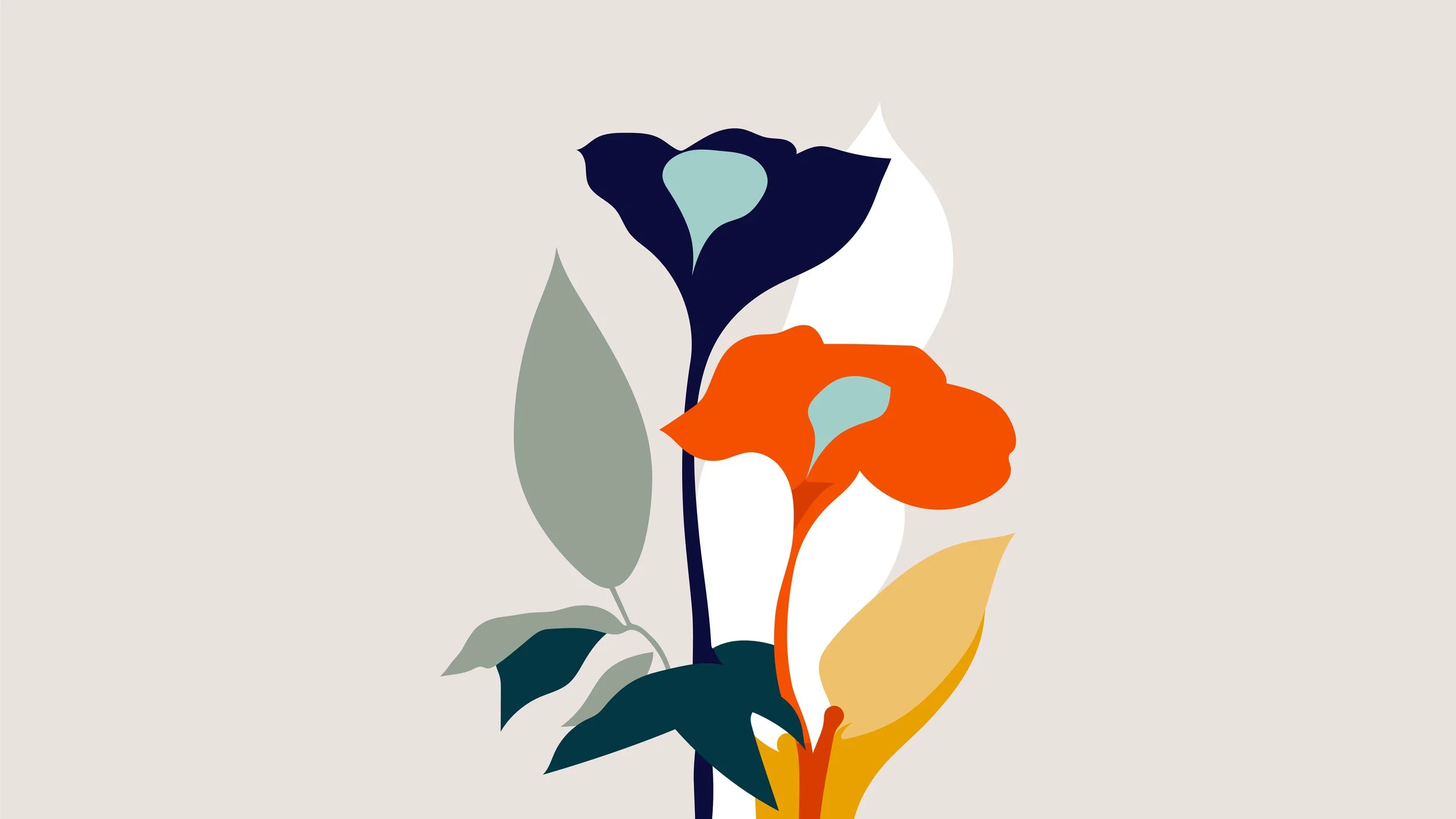Bouquets illustration series header