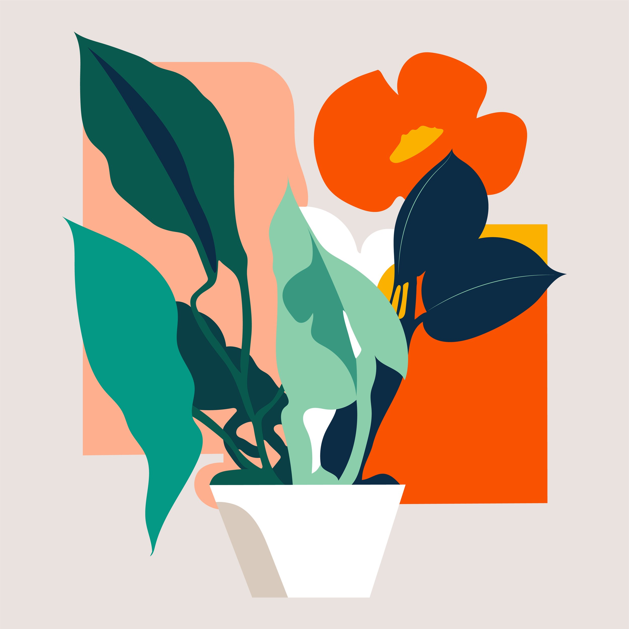 Bouquets illustration, floral study 05