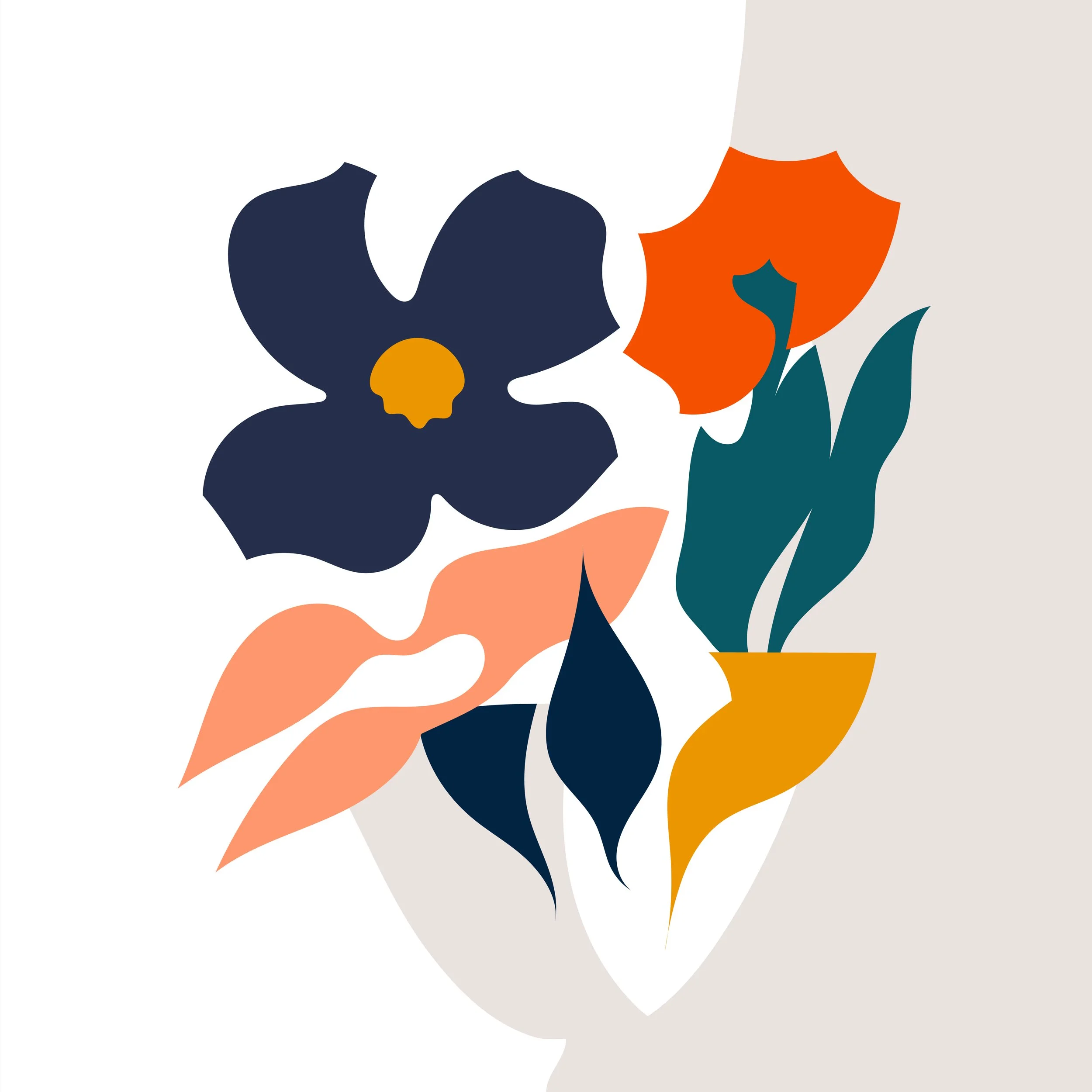 Bouquets illustration, floral study 13