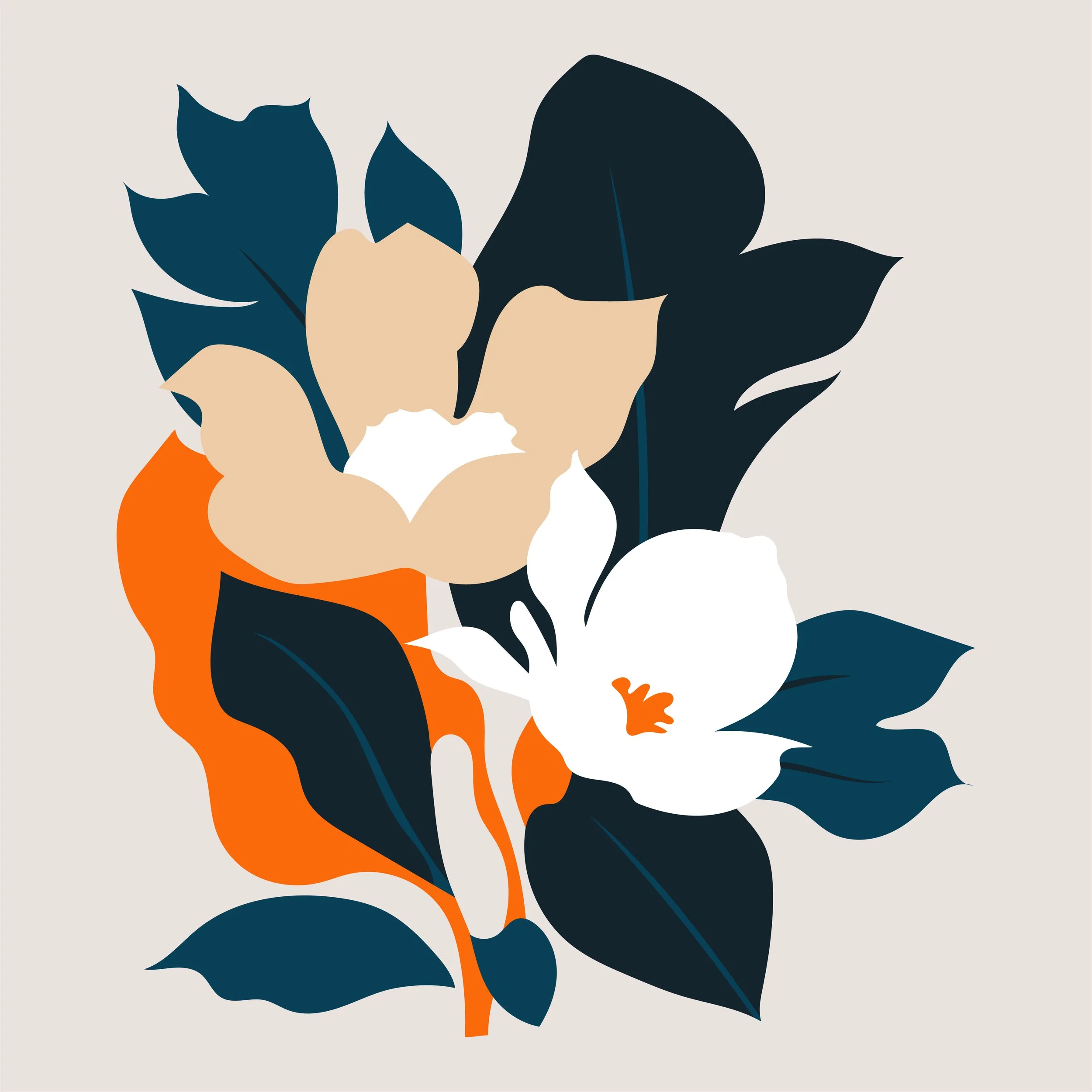 Bouquets illustration, floral study 01
