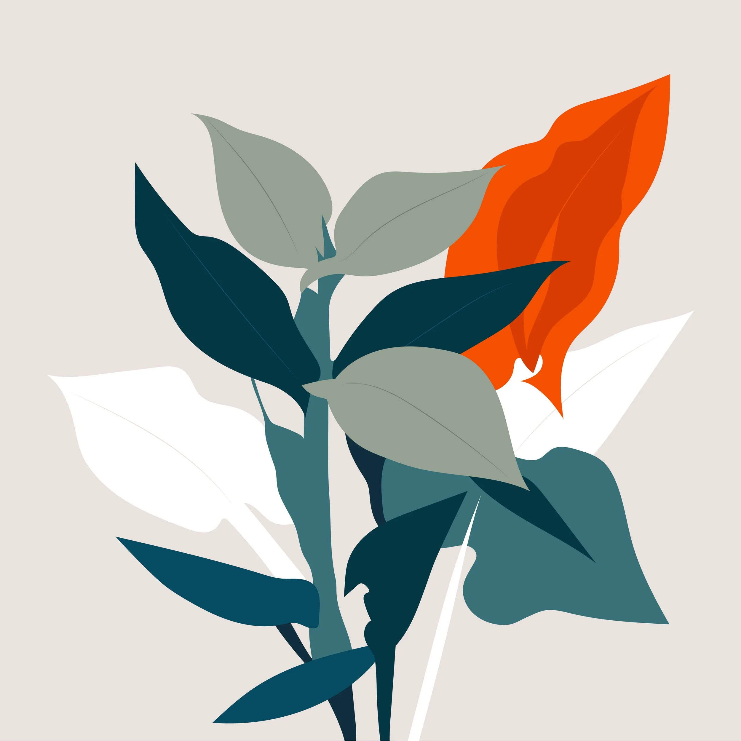 Bouquets illustration, floral study 02