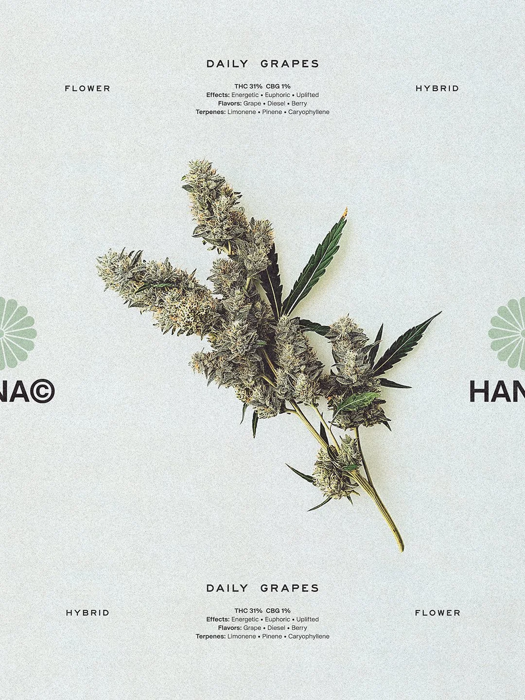 Hana Cannabis Daily Grapes Flower key visual