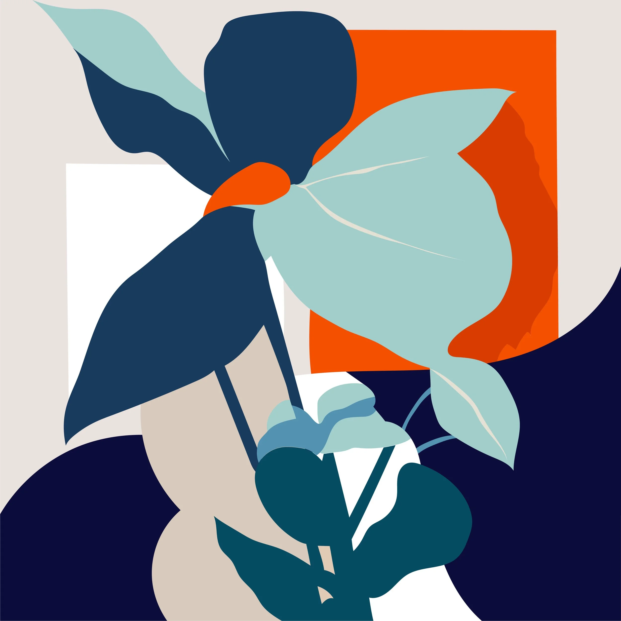 Bouquets illustration, floral study 03
