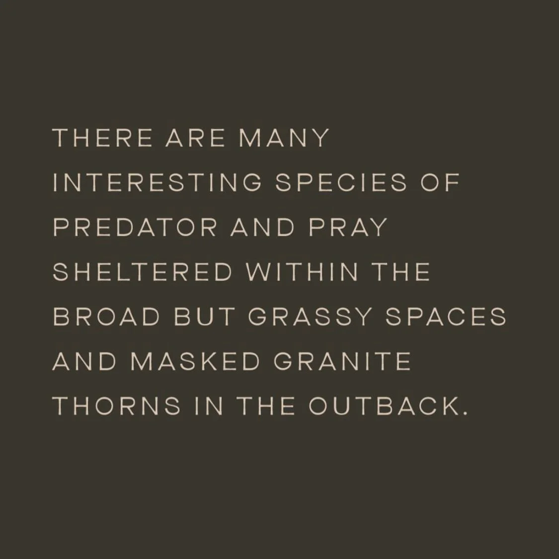 Tacoma font sample