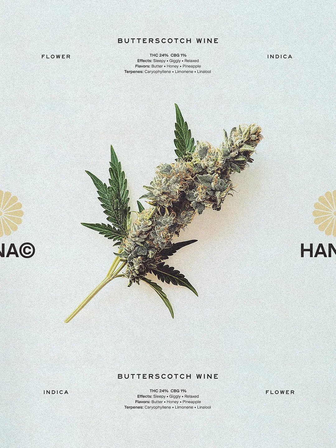 Hana Cannabis Butterscotch Wine Flower key visual