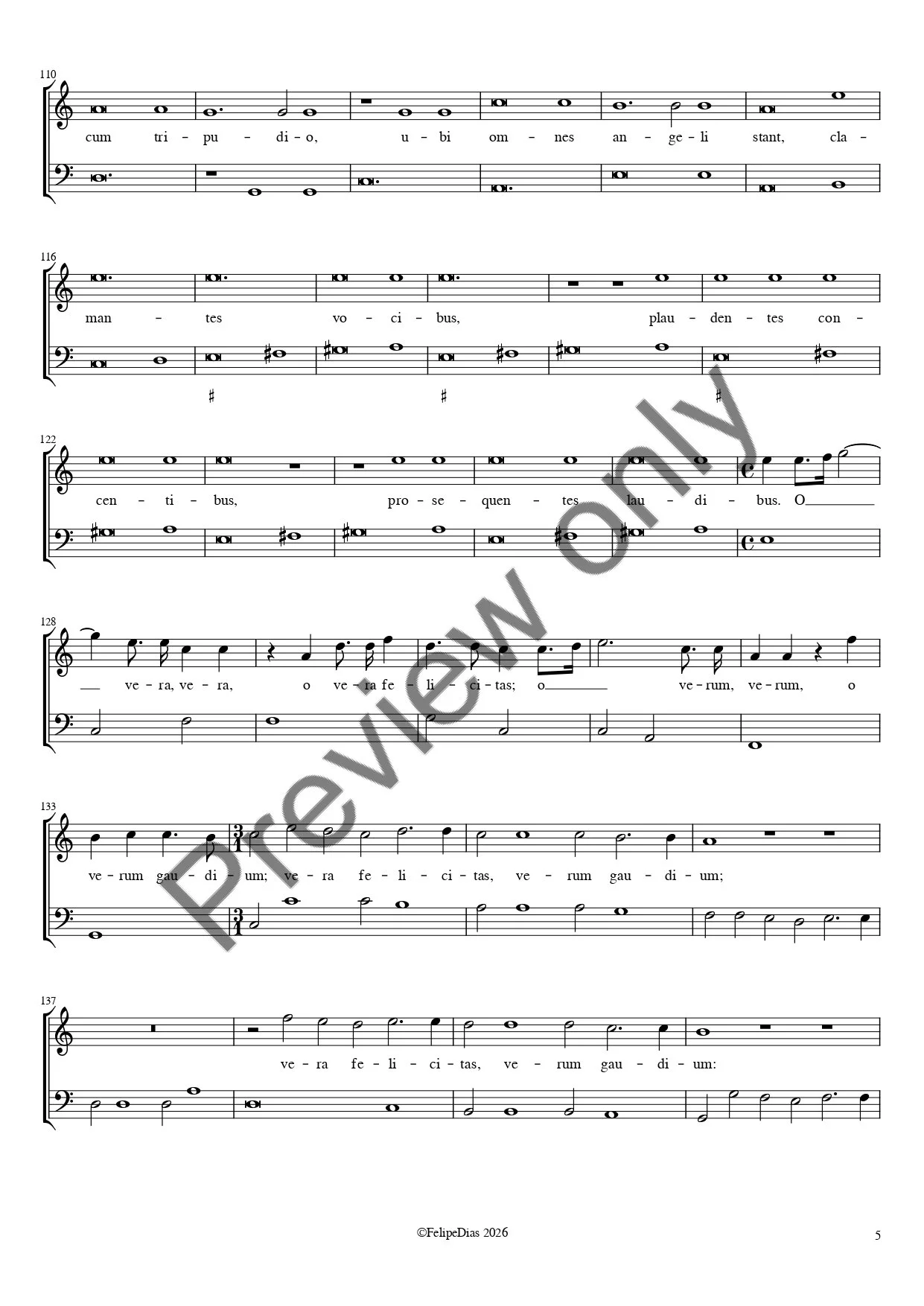 Venite videte_watermark_page-0005.jpg