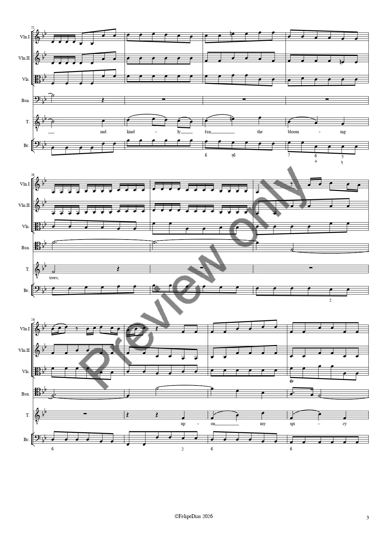 Softly rise-Score_and_Parts_page-0003.jpg