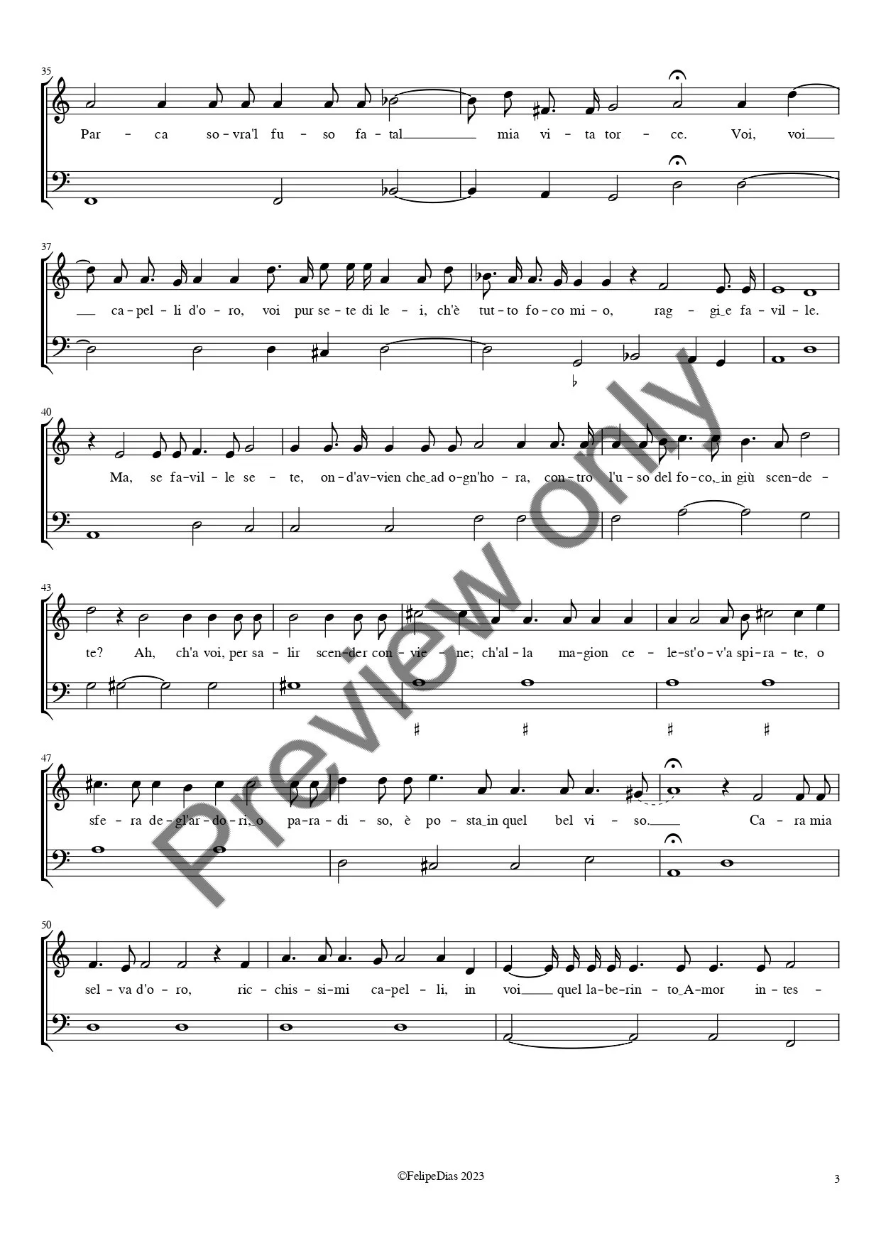 Se i languidi miei sguardi_watermark_page-0003.jpg