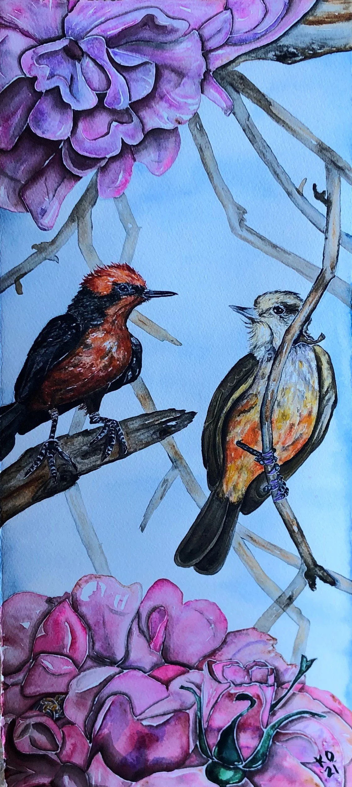 Bird 3.jpg