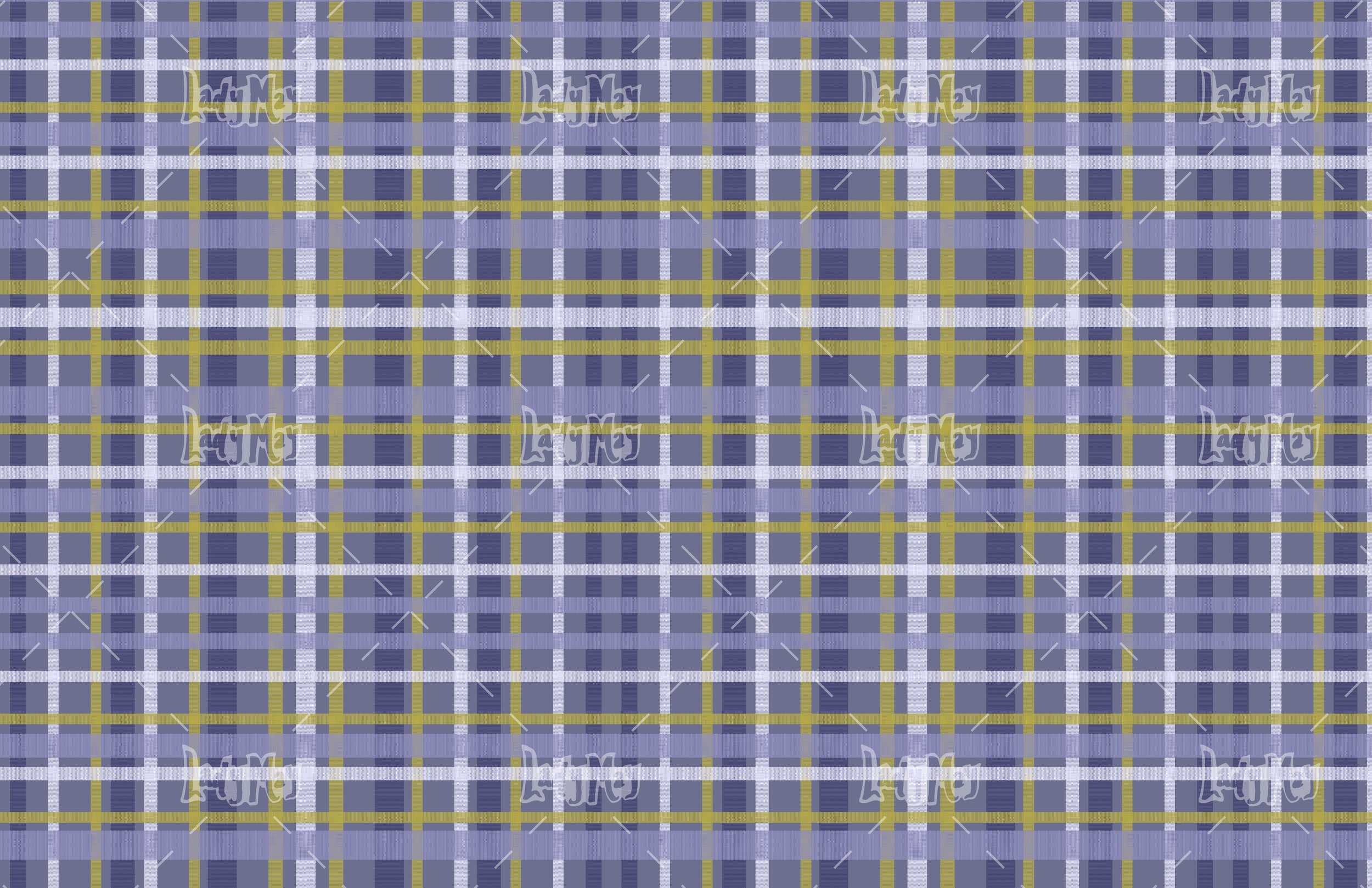 Plaid C2.jpg