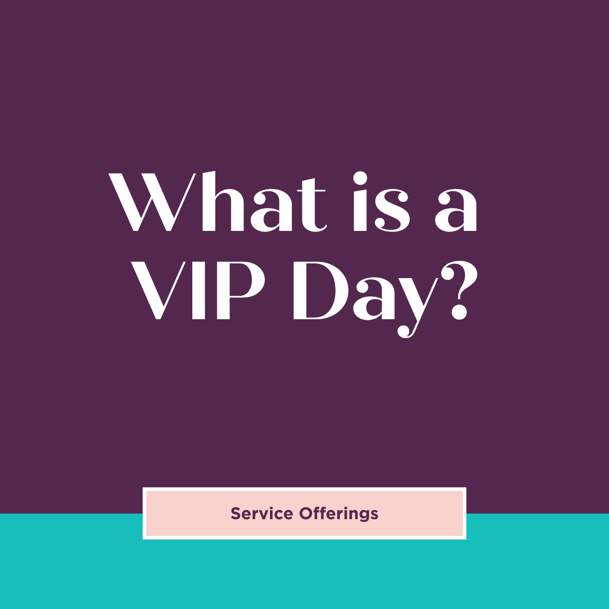 What Is a VIP Day? 