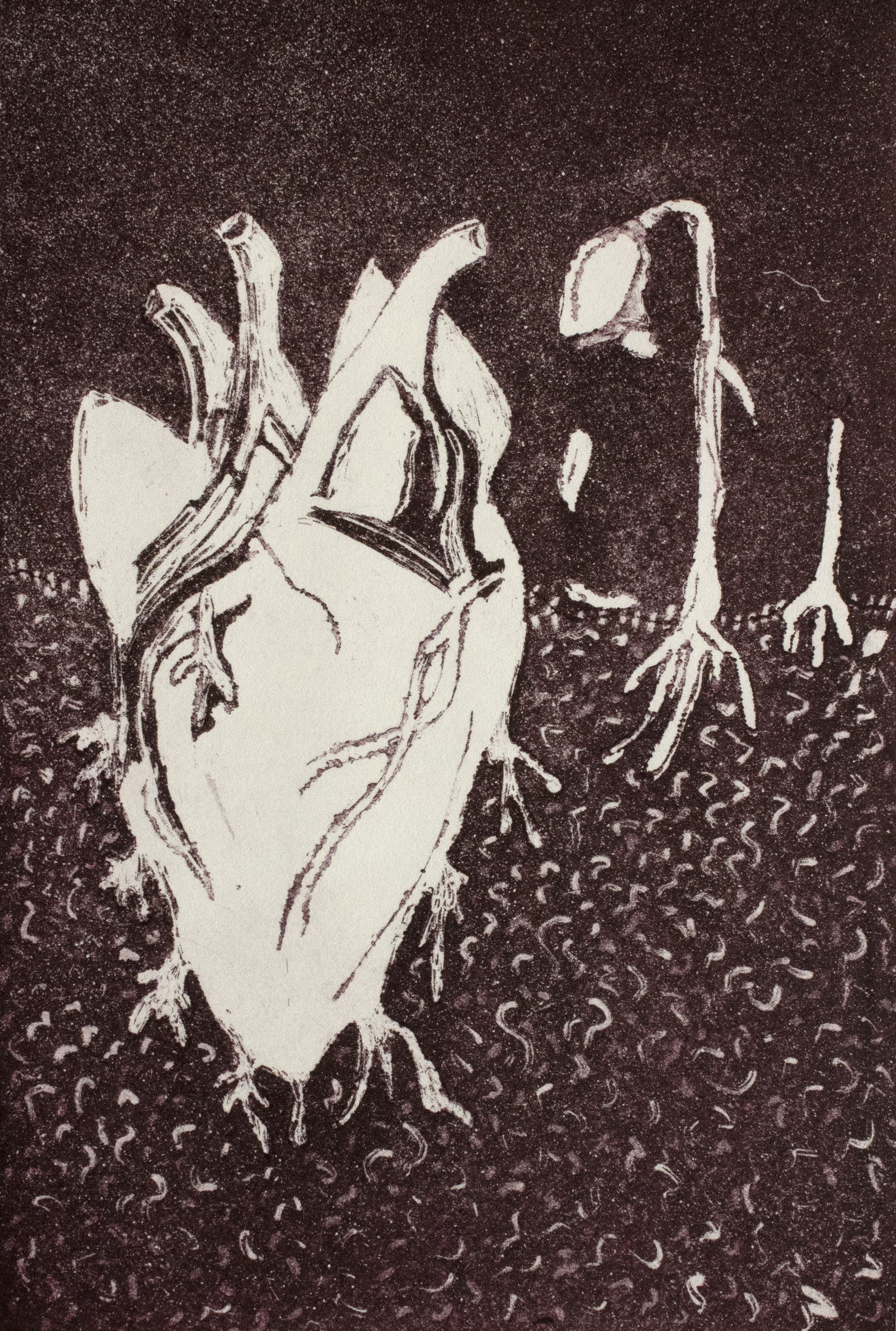 Geis_Project3_Image1.jpg