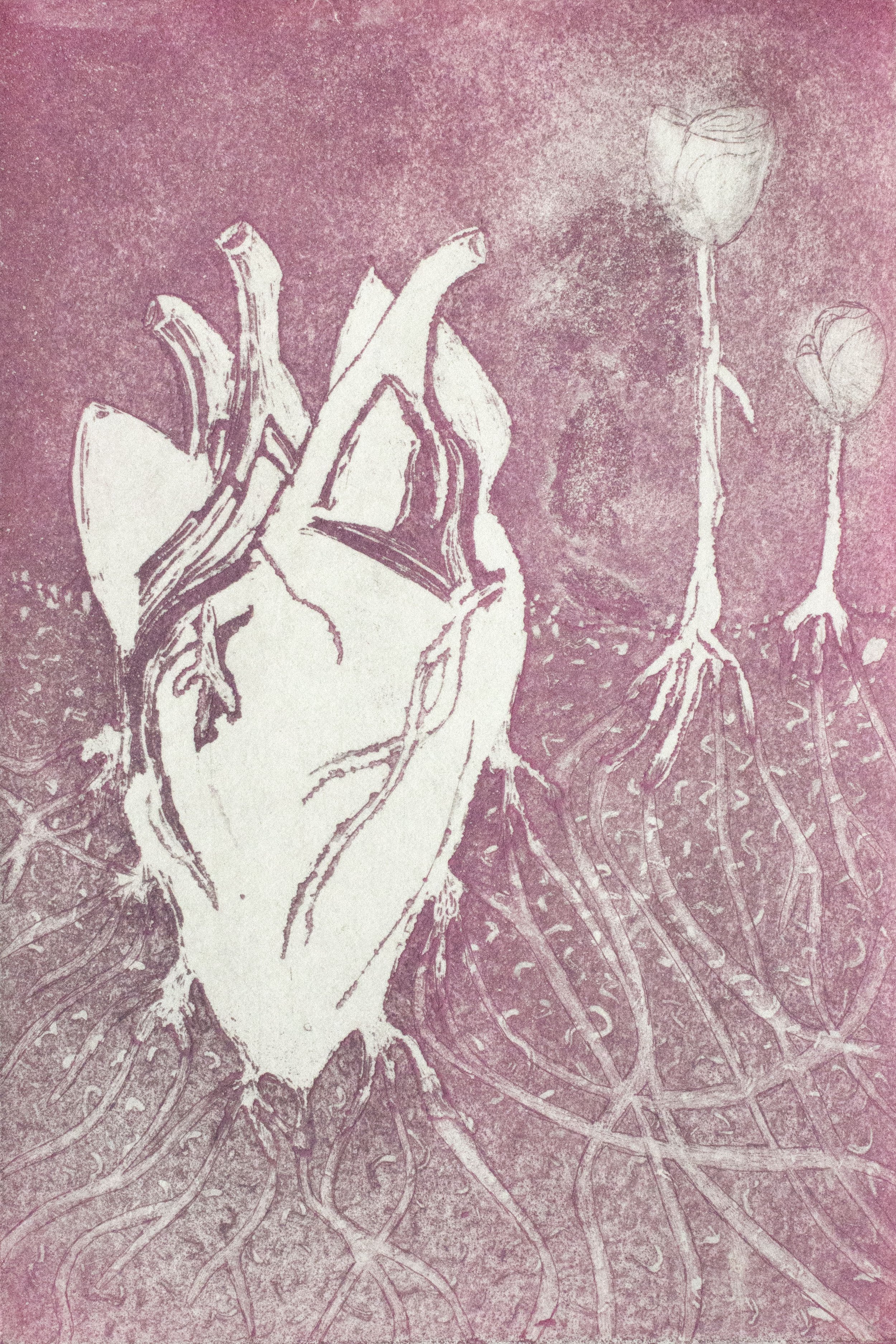 Geis_Project3_image2.jpg