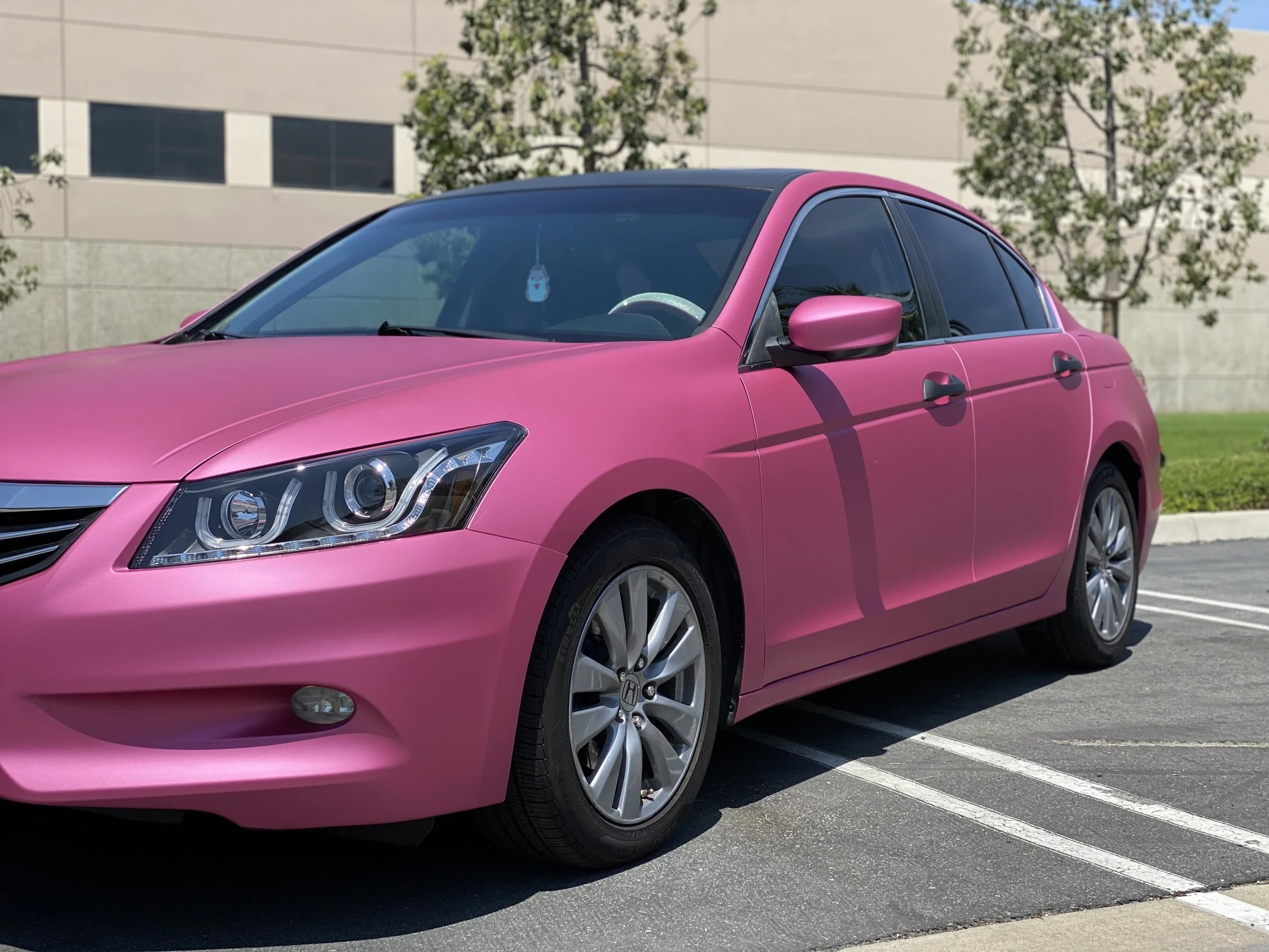 Matte Metallic Pink