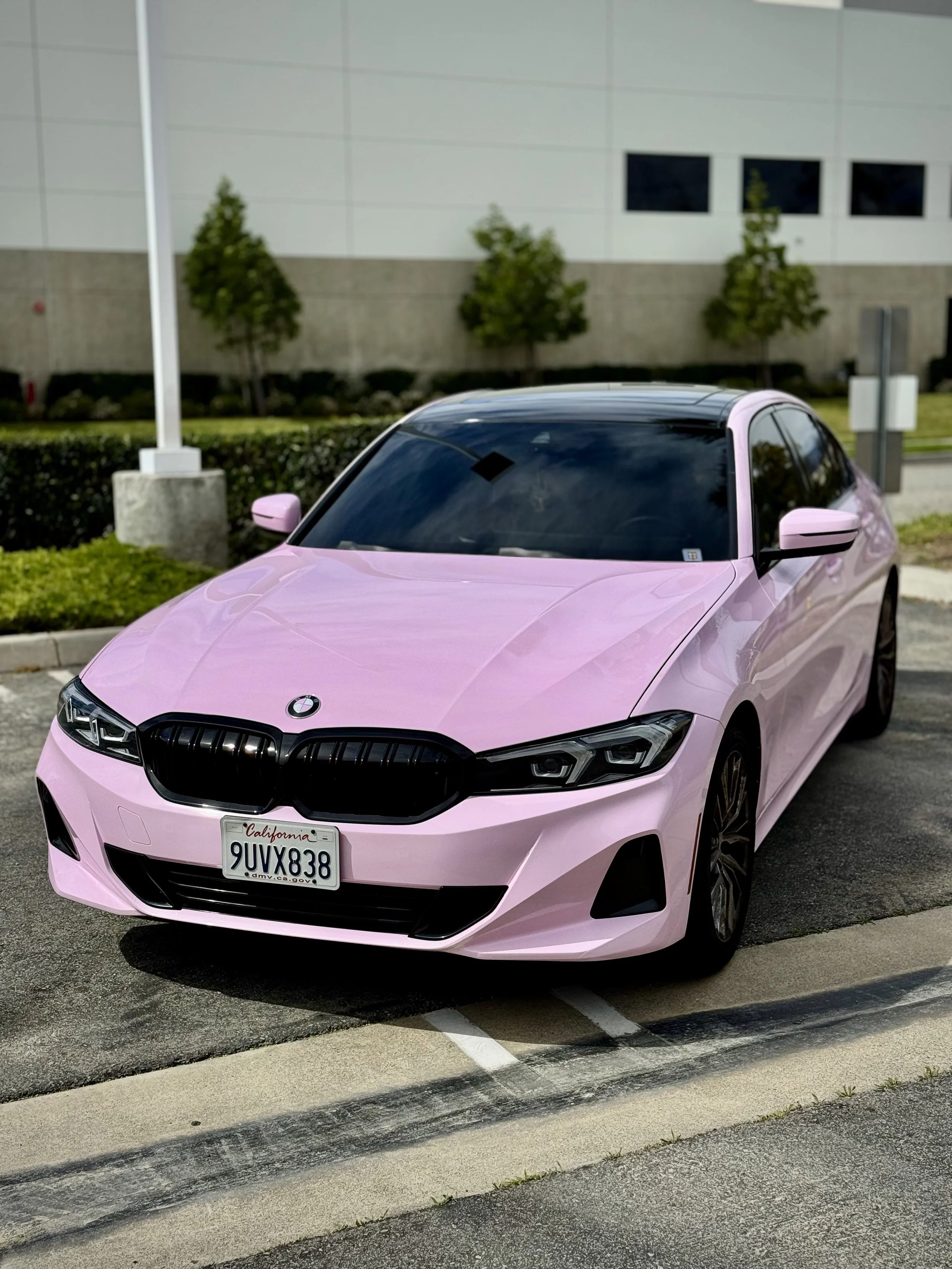 Gloss Baby Girl Pink