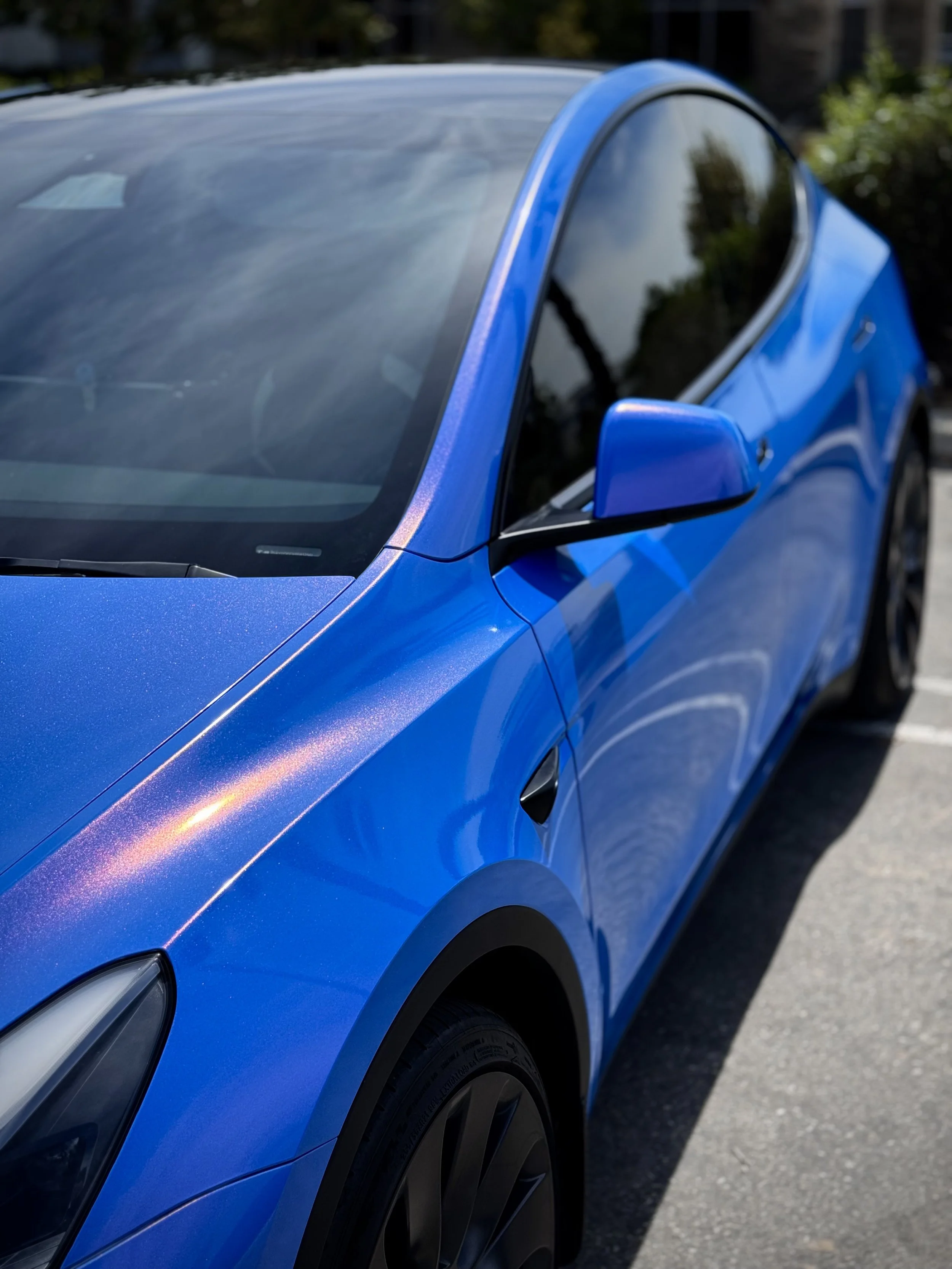 IMG_4977.jpeg