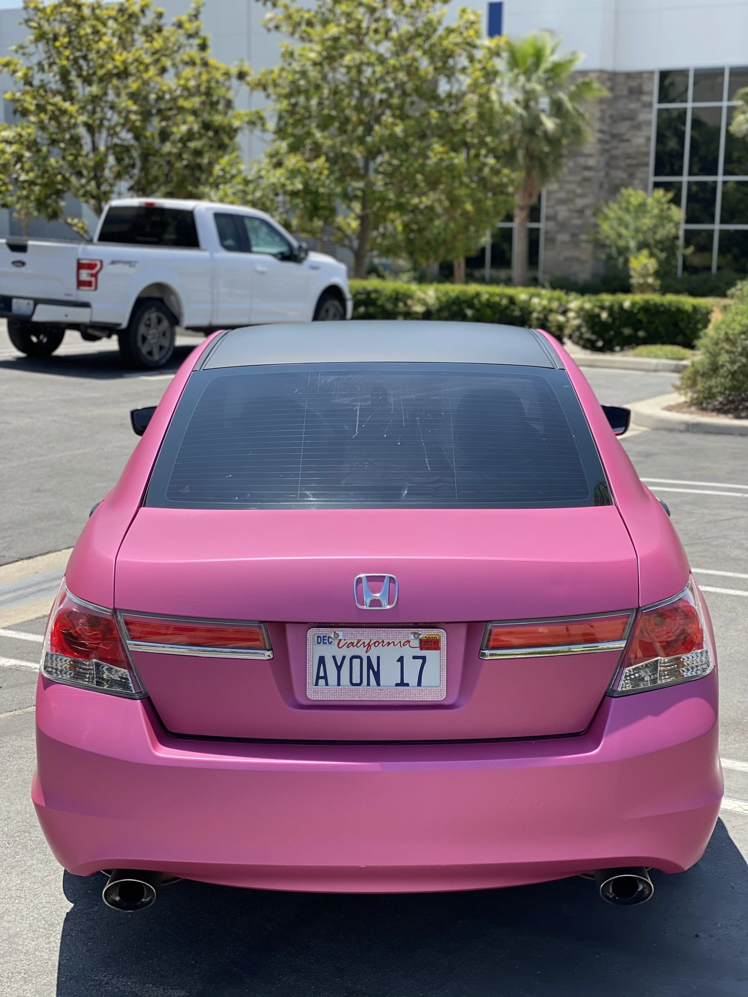 IMG_8581.jpeg