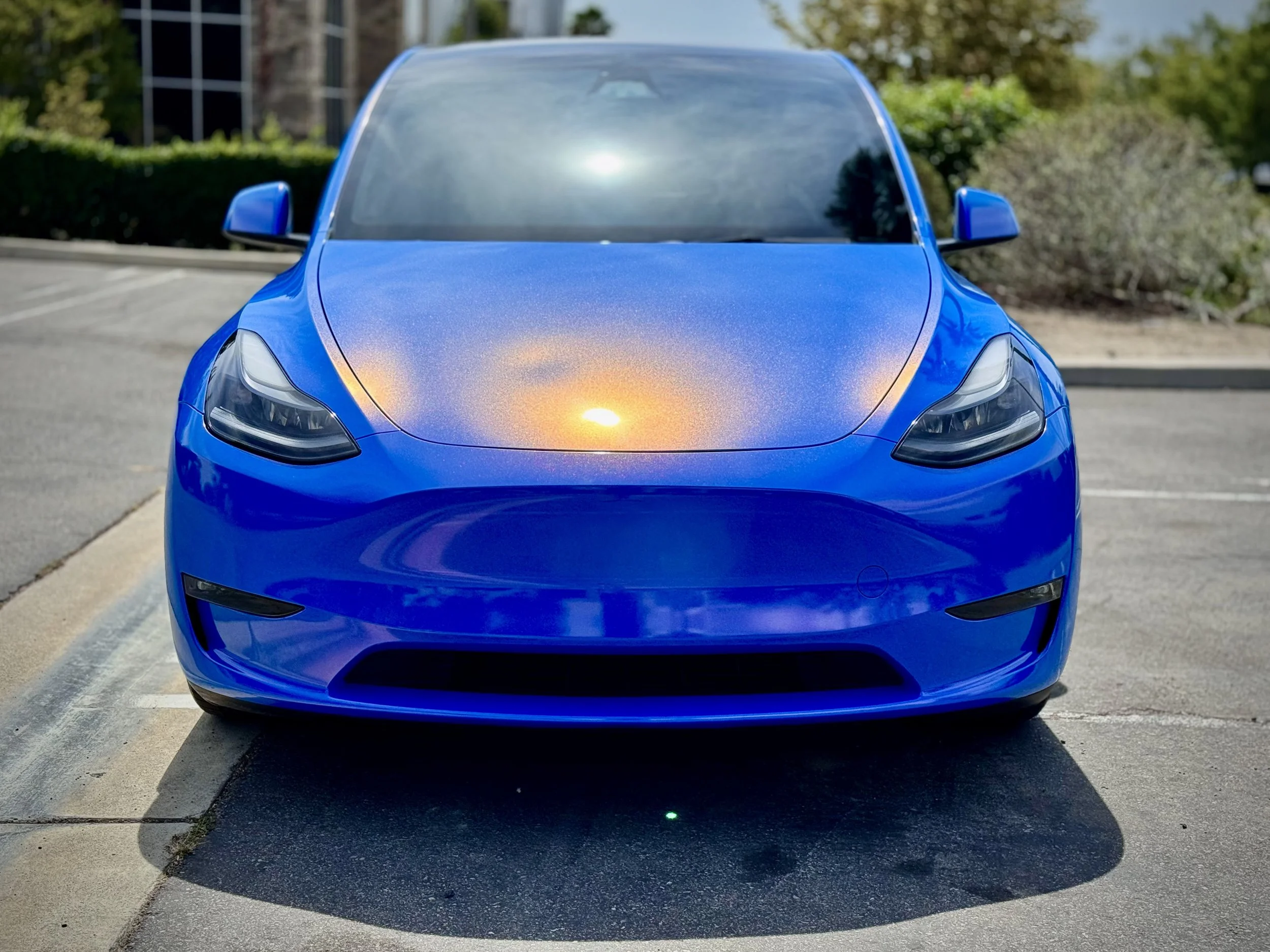 Gloss Blueberry Unicorn