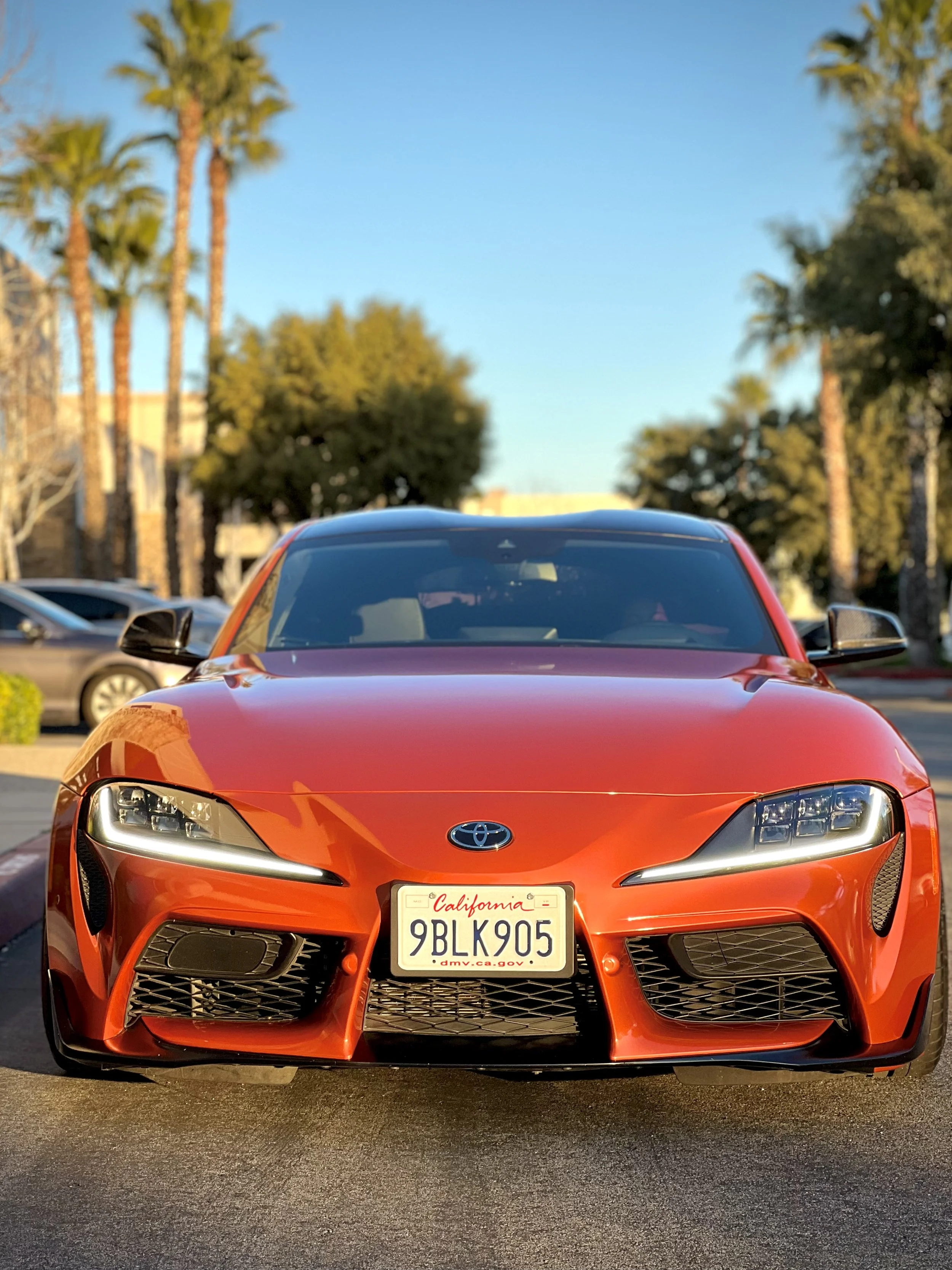 IMG_3632.jpeg