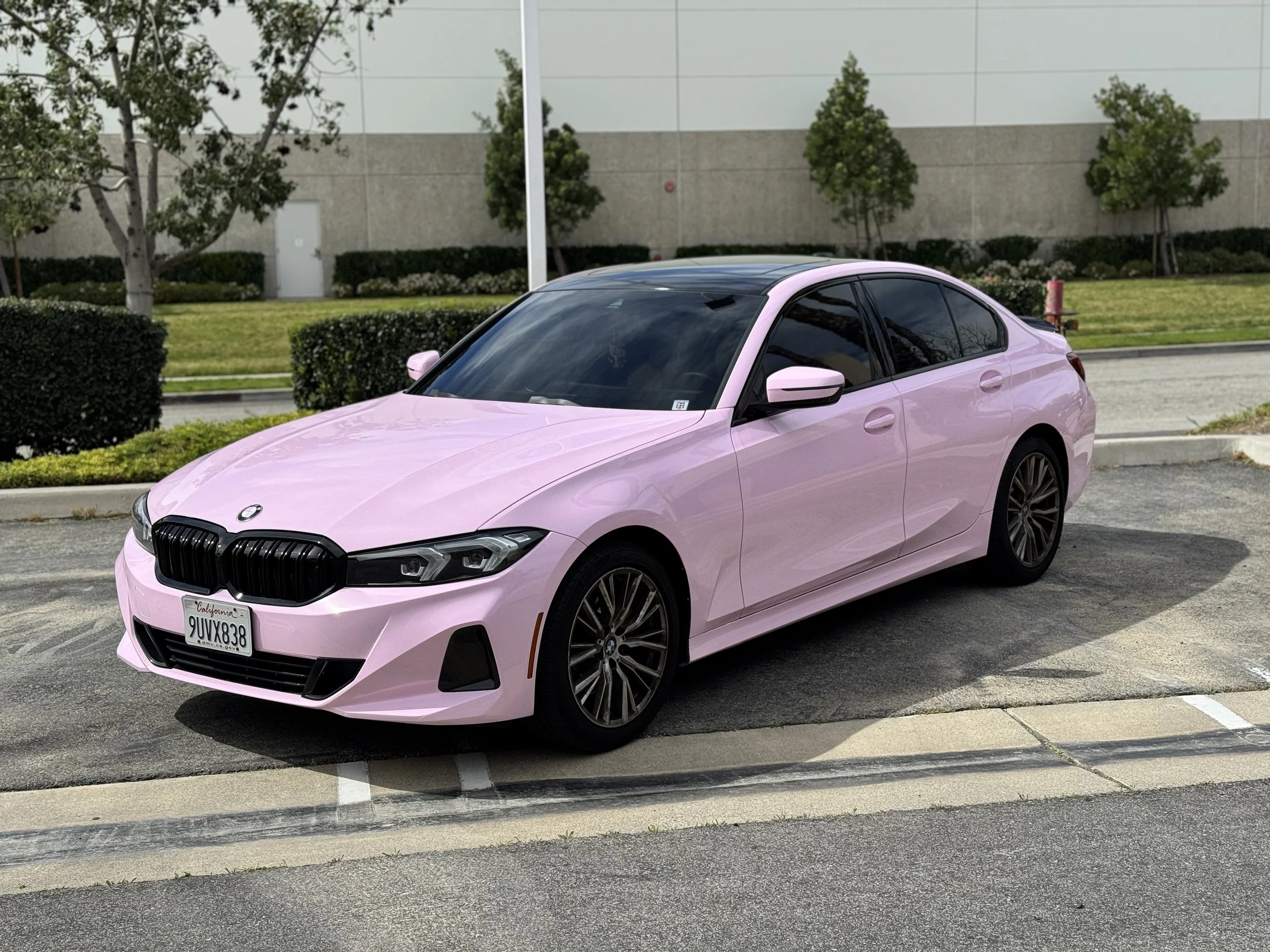 Gloss Baby Girl Pink